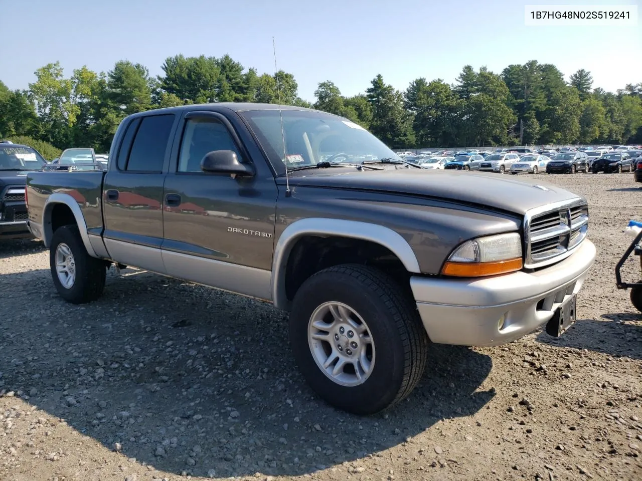 2002 Dodge Dakota Quad Slt VIN: 1B7HG48N02S519241 Lot: 65891744