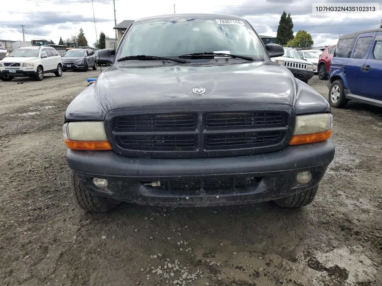 2003 Dodge Dakota Sport VIN: 1D7HG32N43S102313 Lot: 70307144