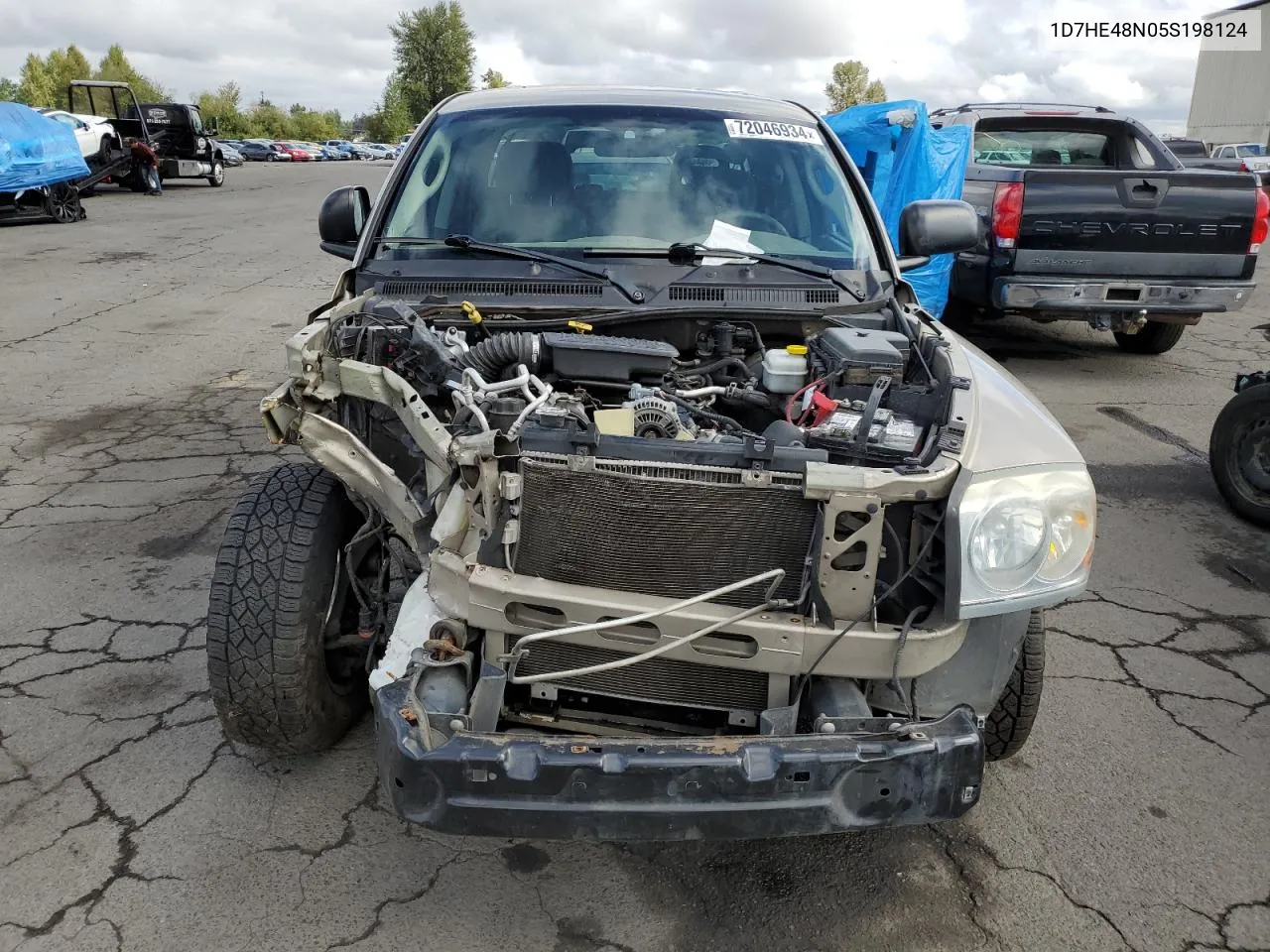 2005 Dodge Dakota Quad Slt VIN: 1D7HE48N05S198124 Lot: 72046934