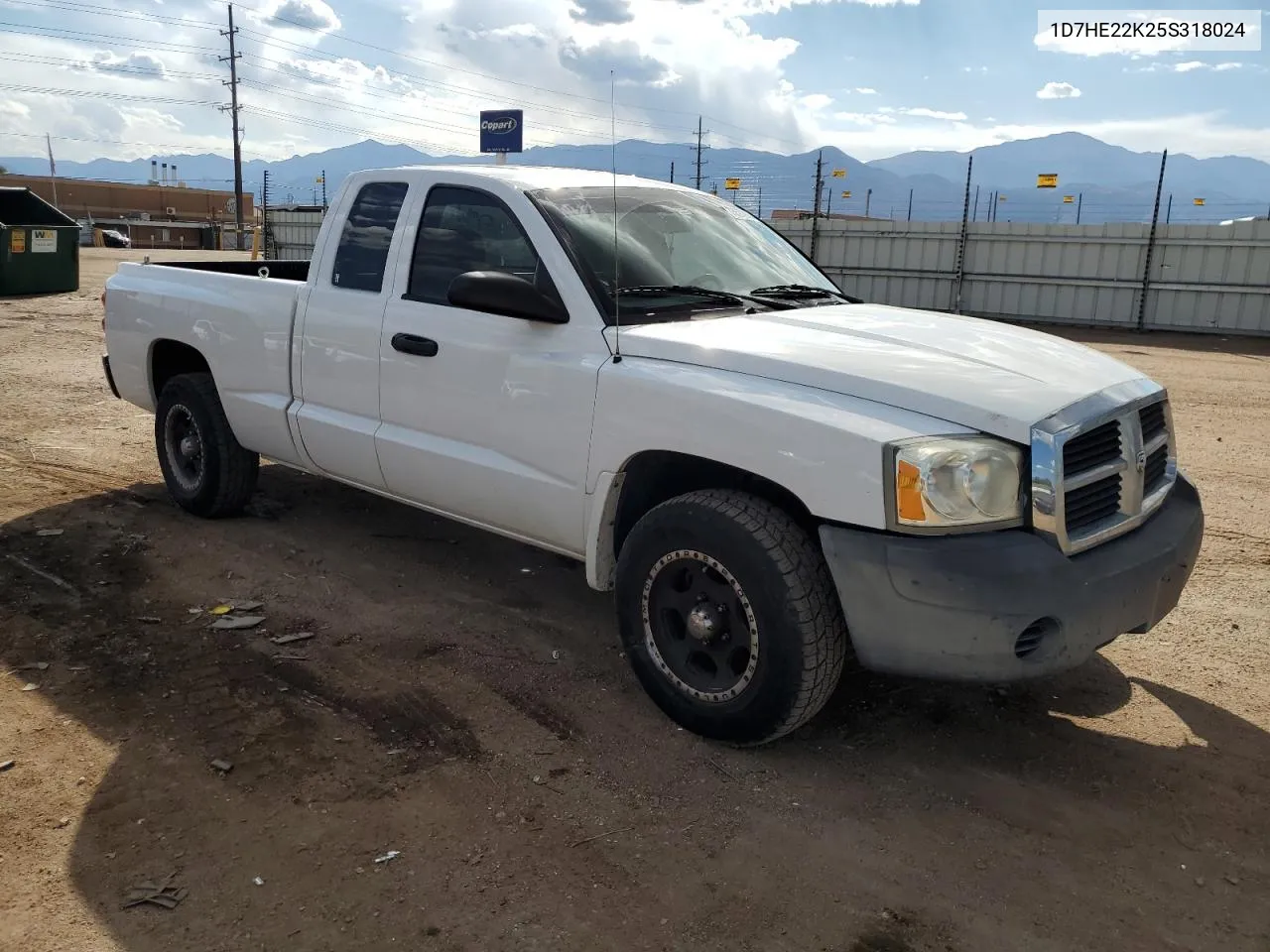 2005 Dodge Dakota St VIN: 1D7HE22K25S318024 Lot: 73572884