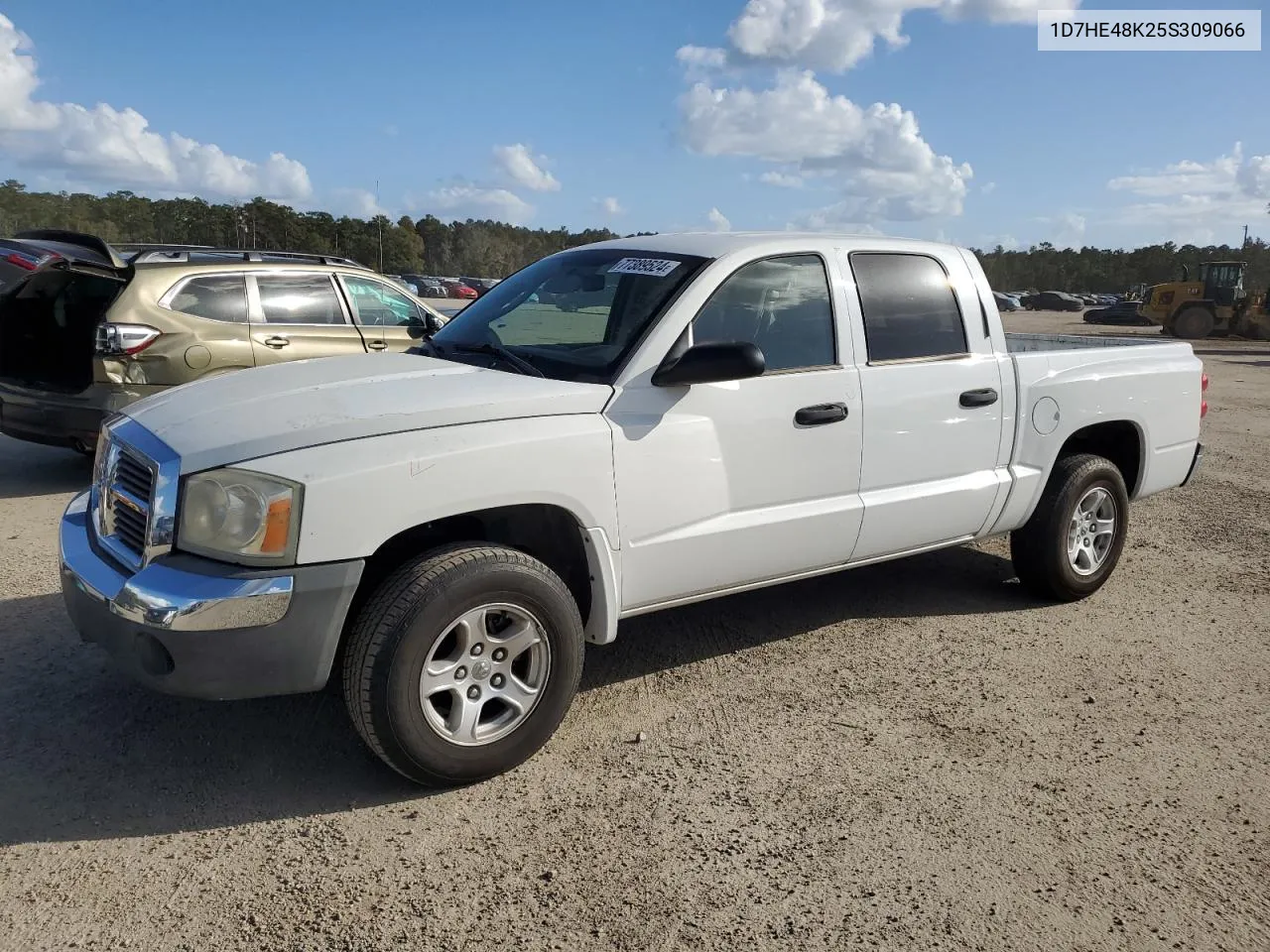 2005 Dodge Dakota Quad Slt VIN: 1D7HE48K25S309066 Lot: 77389524