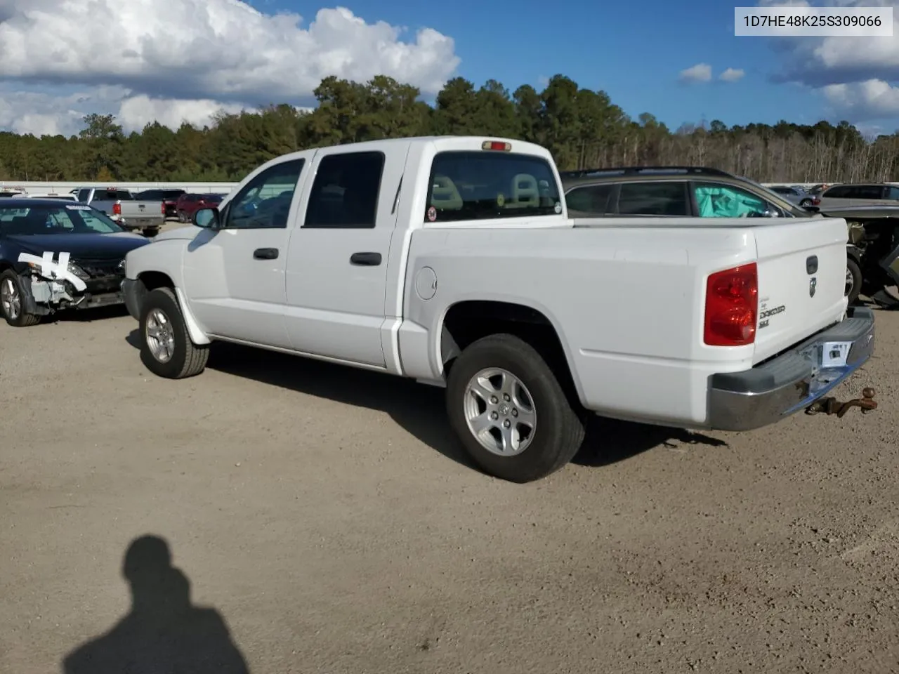 2005 Dodge Dakota Quad Slt VIN: 1D7HE48K25S309066 Lot: 77389524