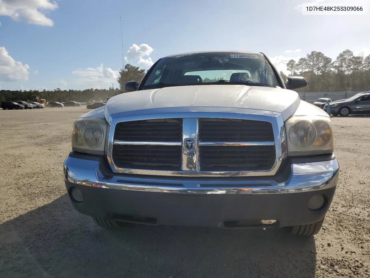 2005 Dodge Dakota Quad Slt VIN: 1D7HE48K25S309066 Lot: 77389524