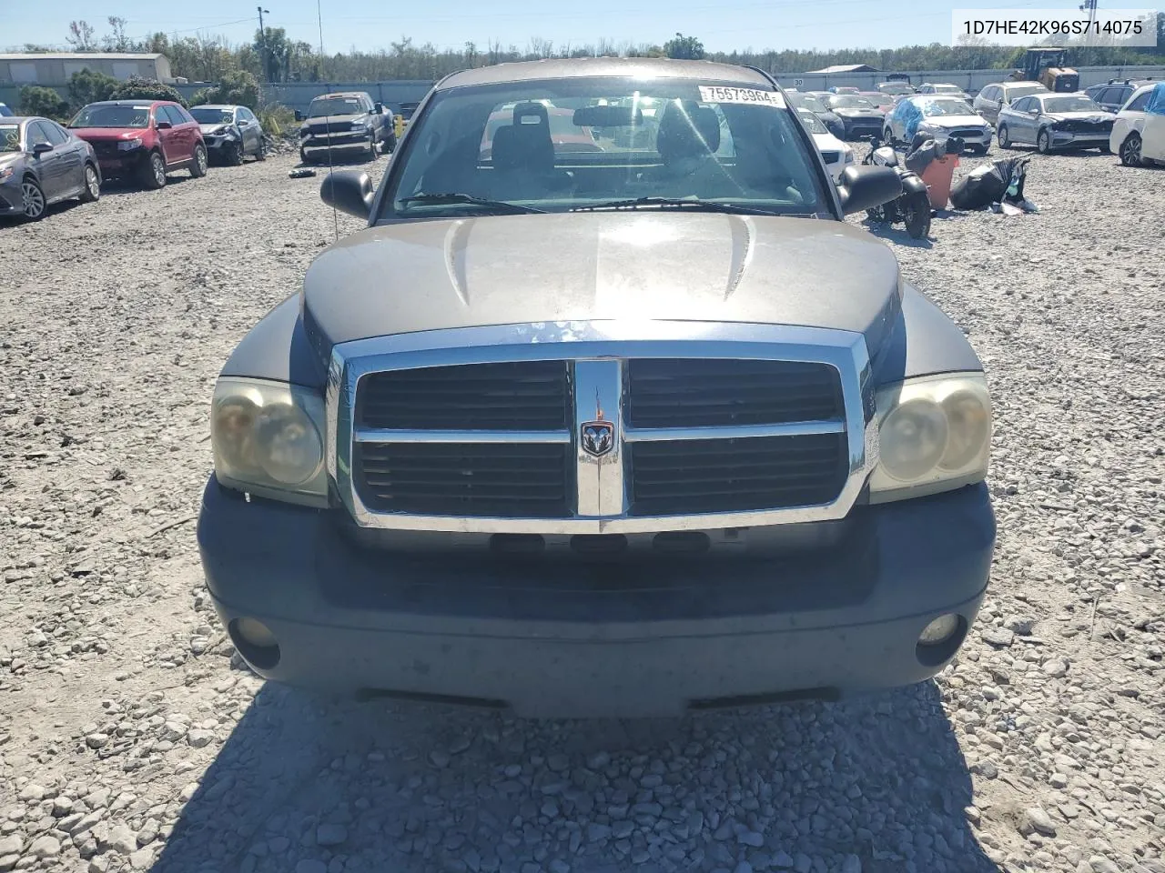 2006 Dodge Dakota Slt VIN: 1D7HE42K96S714075 Lot: 75673964