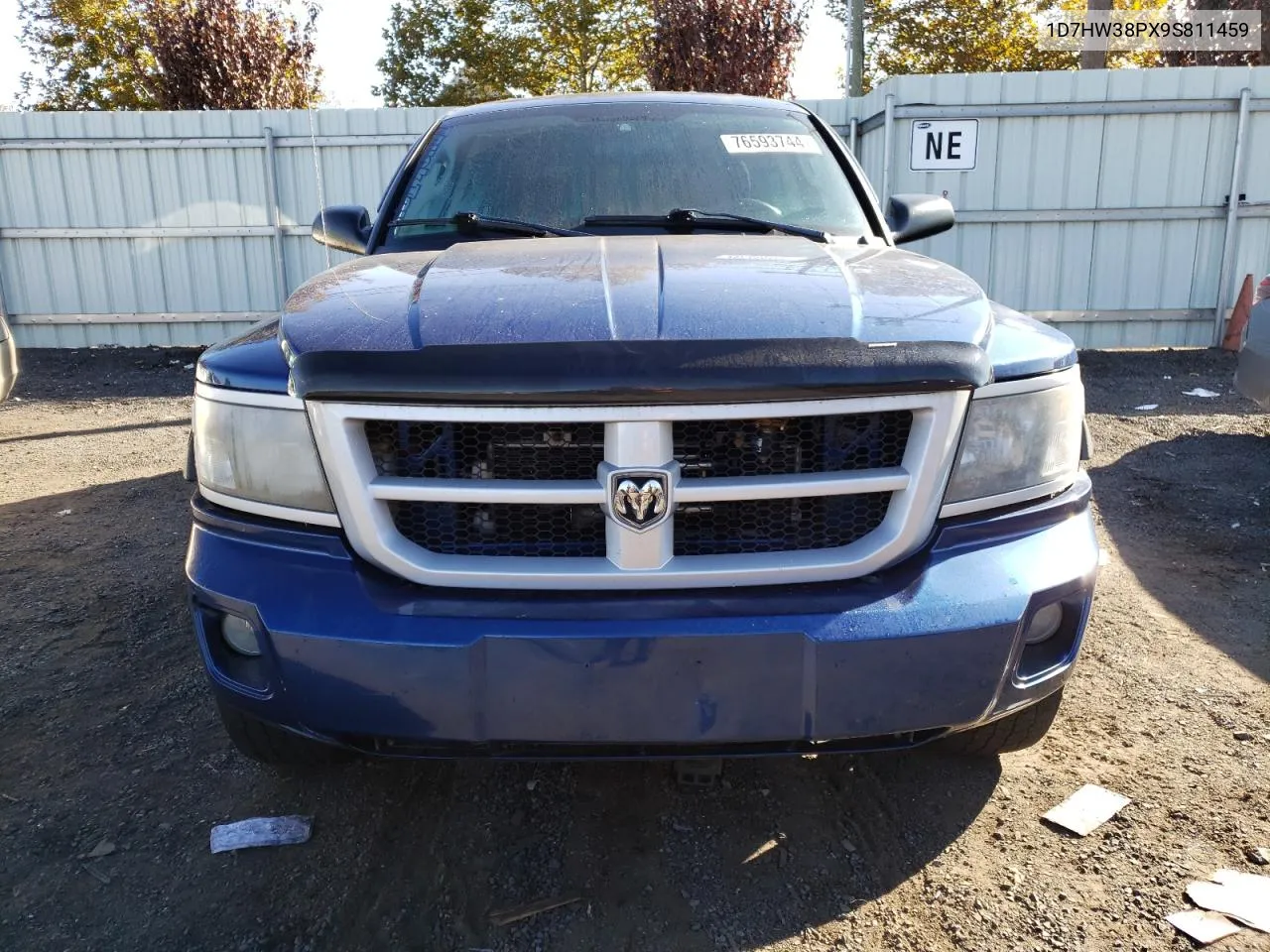 2009 Dodge Dakota Sxt VIN: 1D7HW38PX9S811459 Lot: 76593744