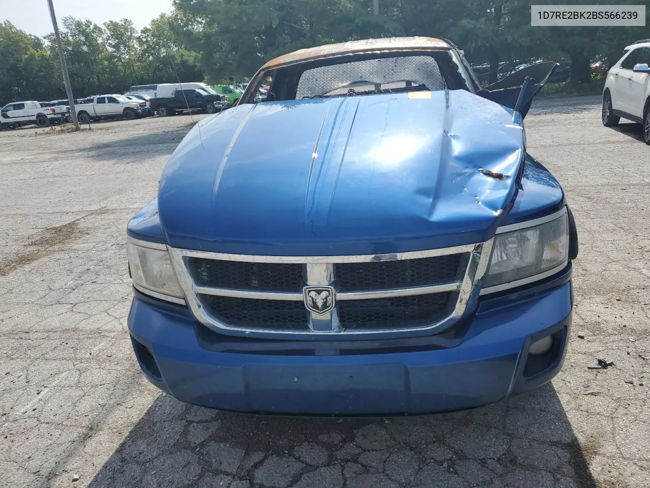 2011 Dodge Dakota St VIN: 1D7RE2BK2BS566239 Lot: 65403084