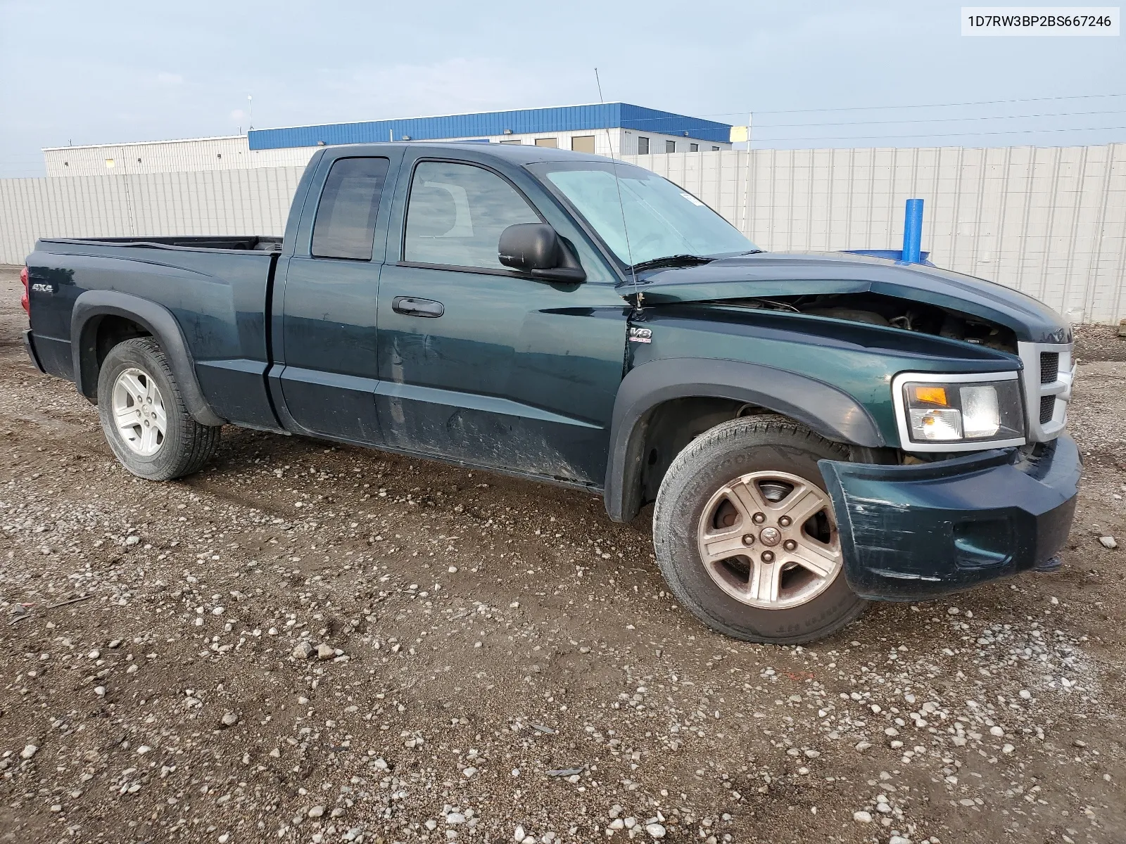 1D7RW3BP2BS667246 2011 Dodge Dakota Slt