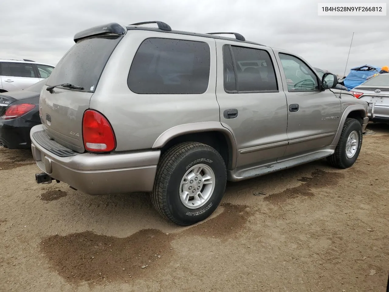 2000 Dodge Durango VIN: 1B4HS28N9YF266812 Lot: 78534014