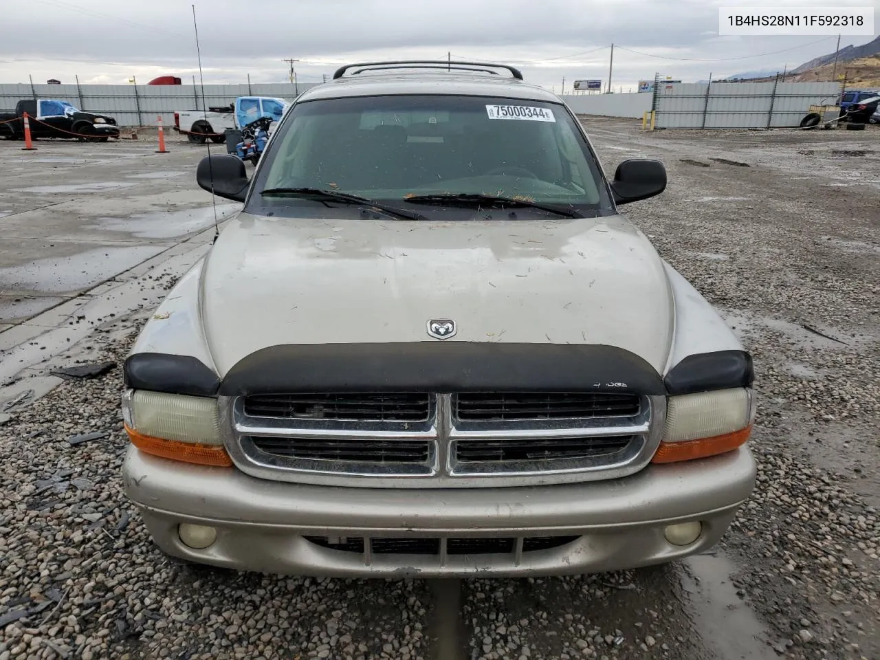 2001 Dodge Durango VIN: 1B4HS28N11F592318 Lot: 75000344