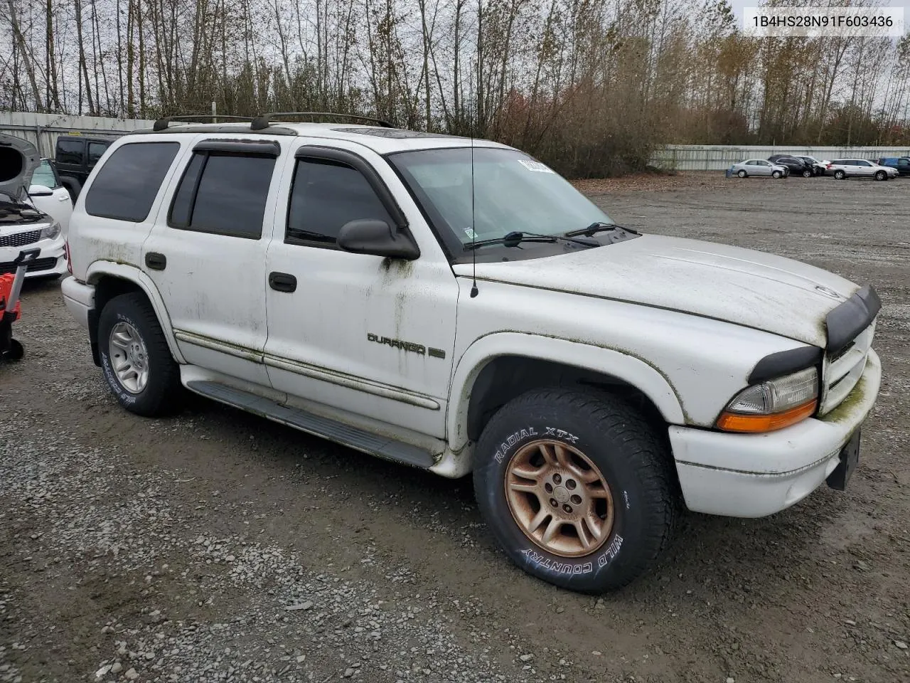 2001 Dodge Durango VIN: 1B4HS28N91F603436 Lot: 76837874