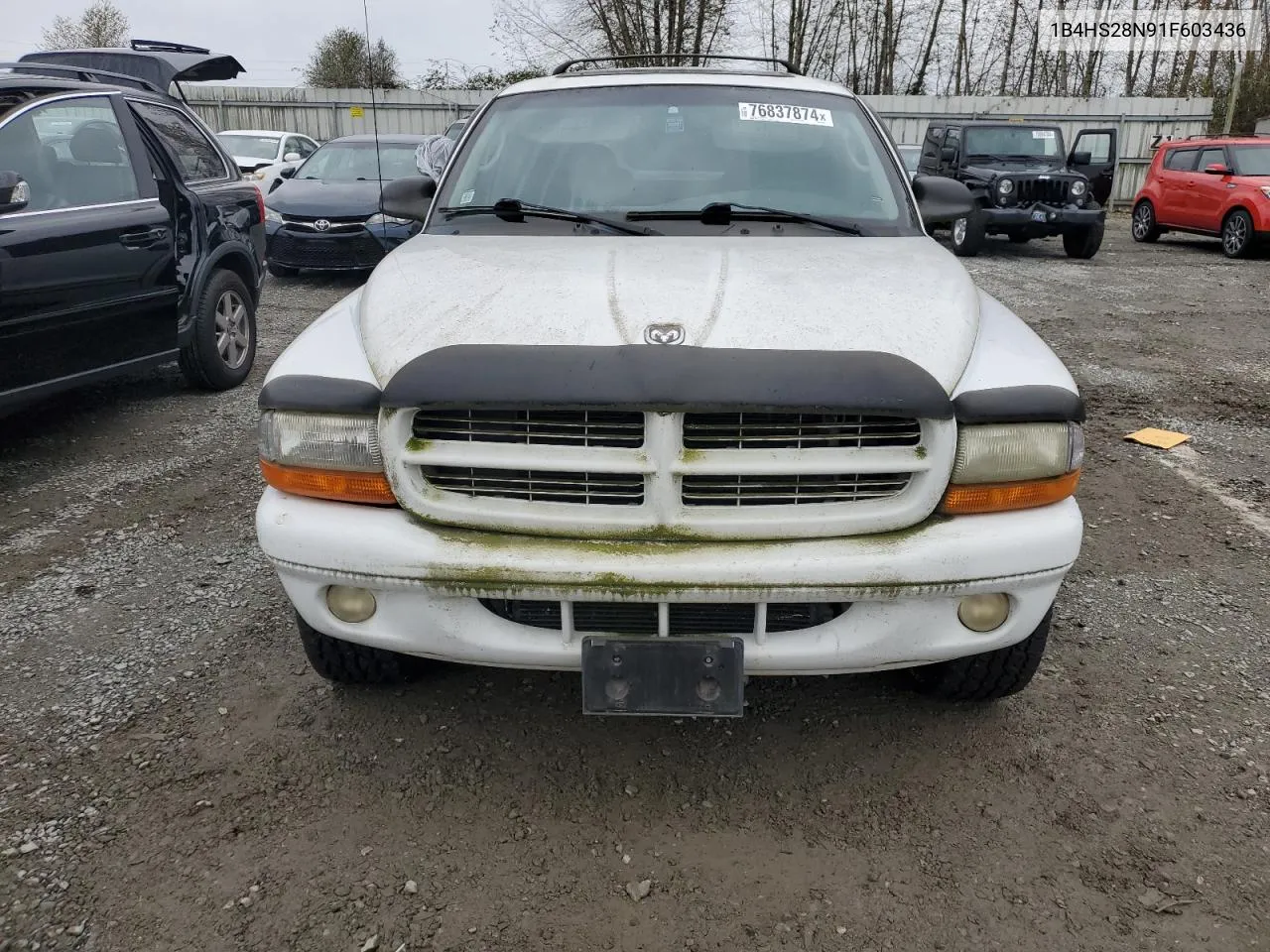 2001 Dodge Durango VIN: 1B4HS28N91F603436 Lot: 76837874