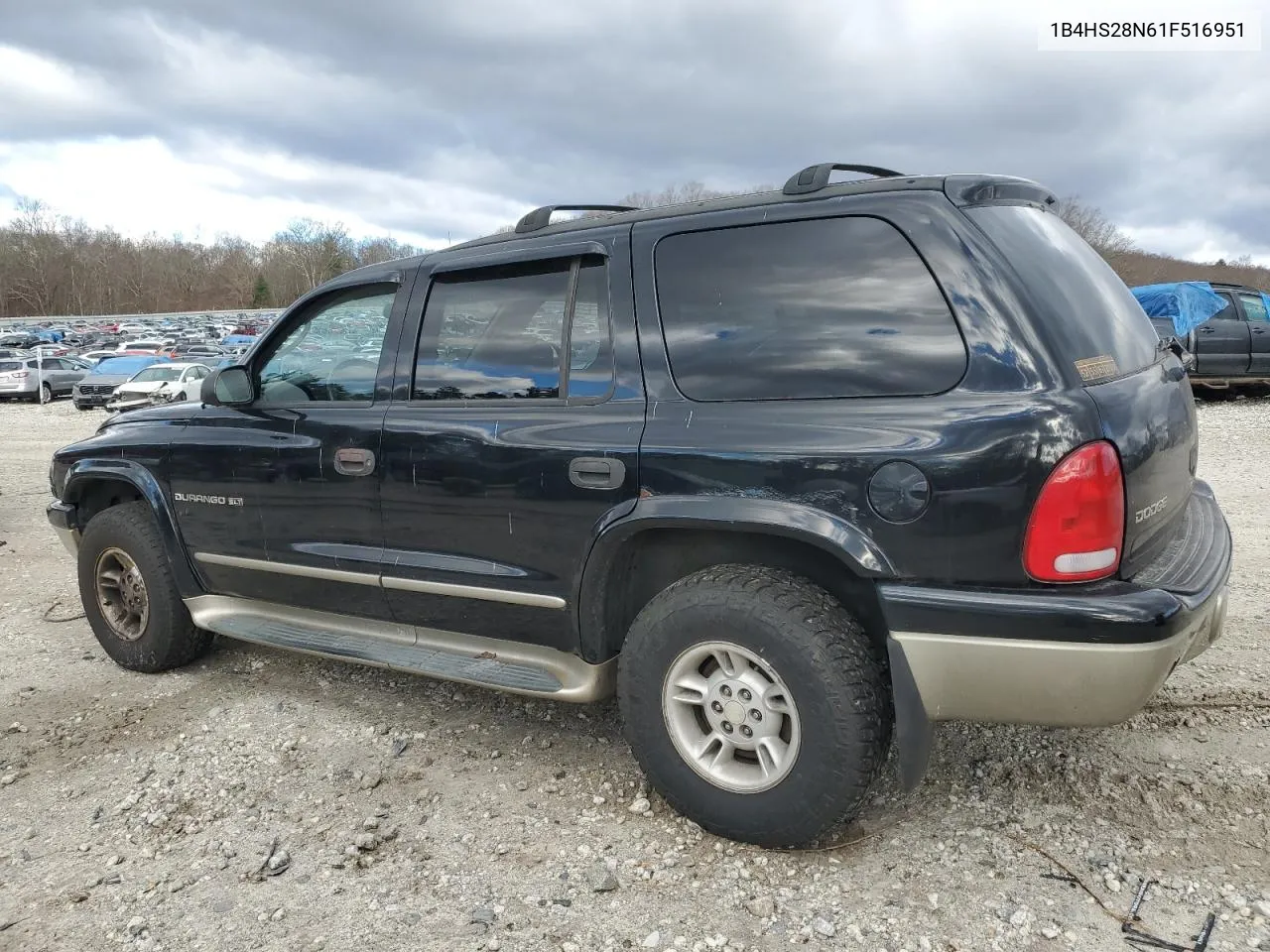 2001 Dodge Durango VIN: 1B4HS28N61F516951 Lot: 80271764