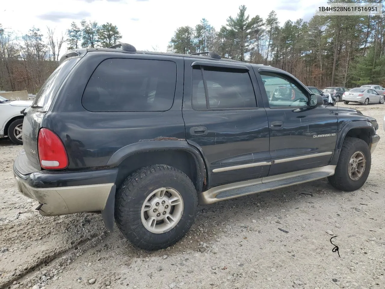 2001 Dodge Durango VIN: 1B4HS28N61F516951 Lot: 80271764