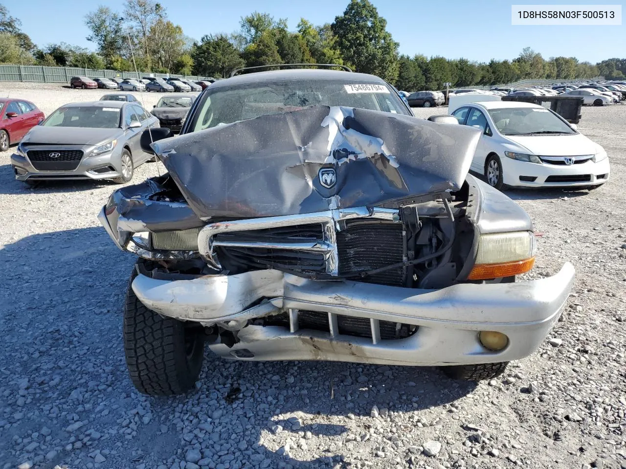 2003 Dodge Durango Slt Plus VIN: 1D8HS58N03F500513 Lot: 75486794