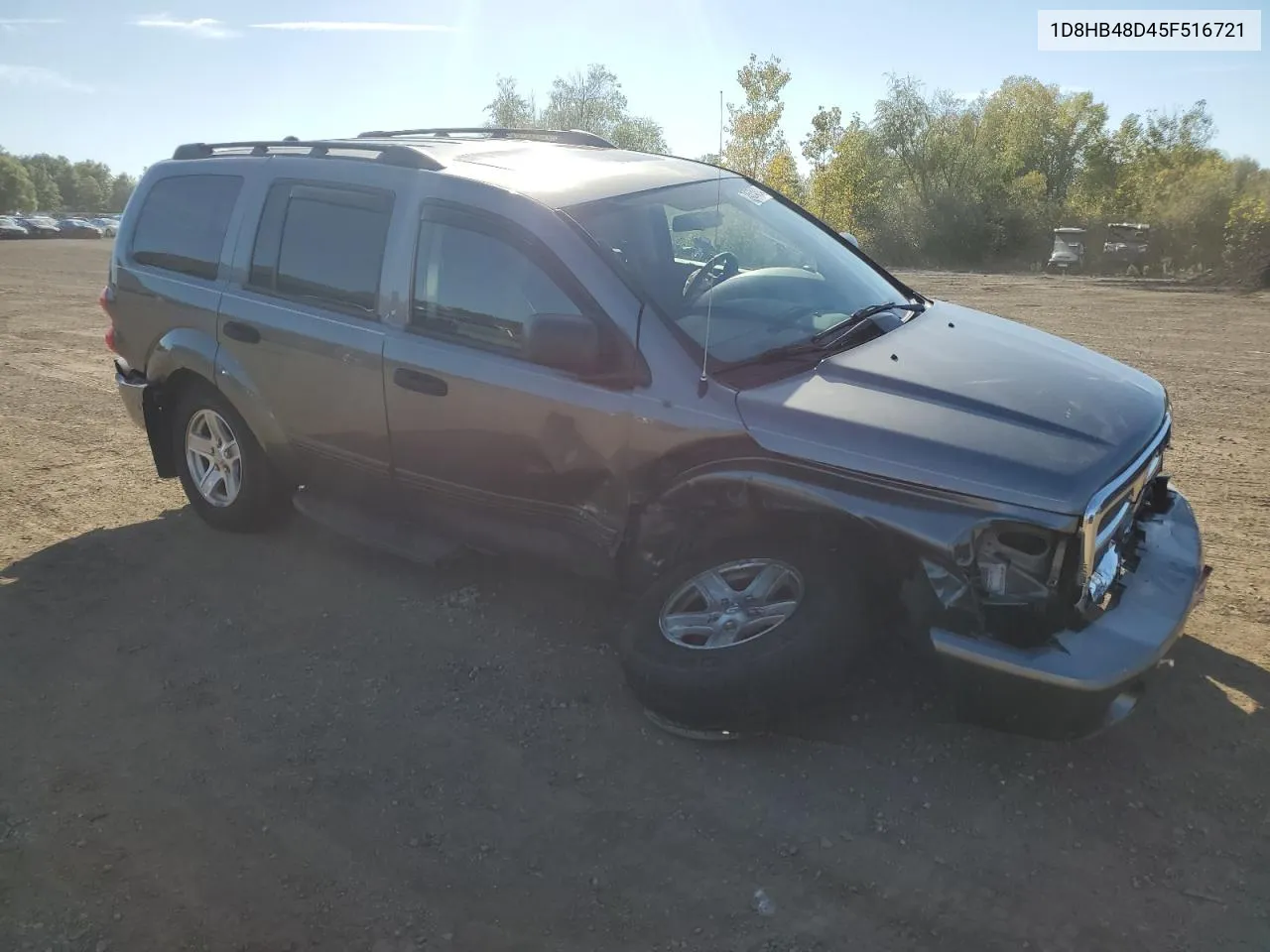 2005 Dodge Durango Slt VIN: 1D8HB48D45F516721 Lot: 74534804