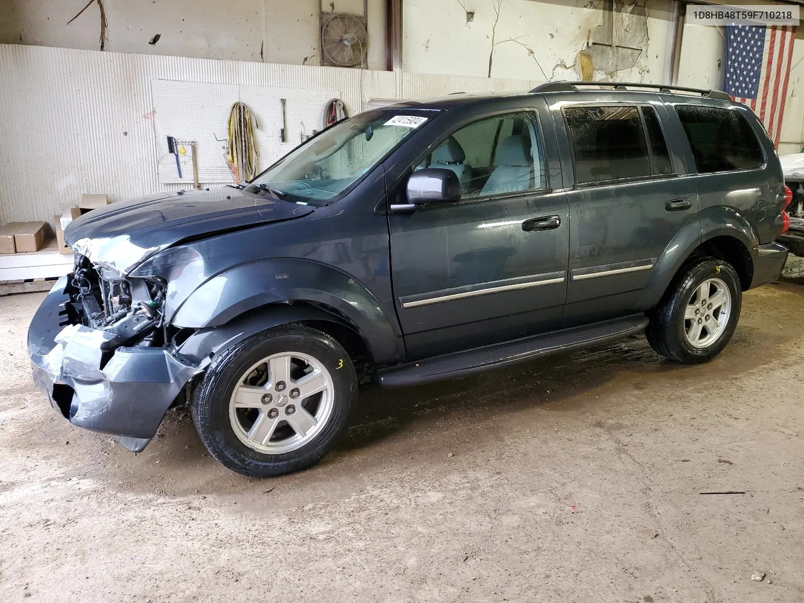 2009 Dodge Durango Slt VIN: 1D8HB48T59F710218 Lot: 55337554