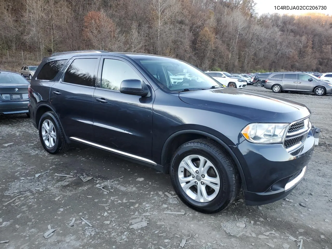 2012 Dodge Durango Sxt VIN: 1C4RDJAG2CC206730 Lot: 79505954