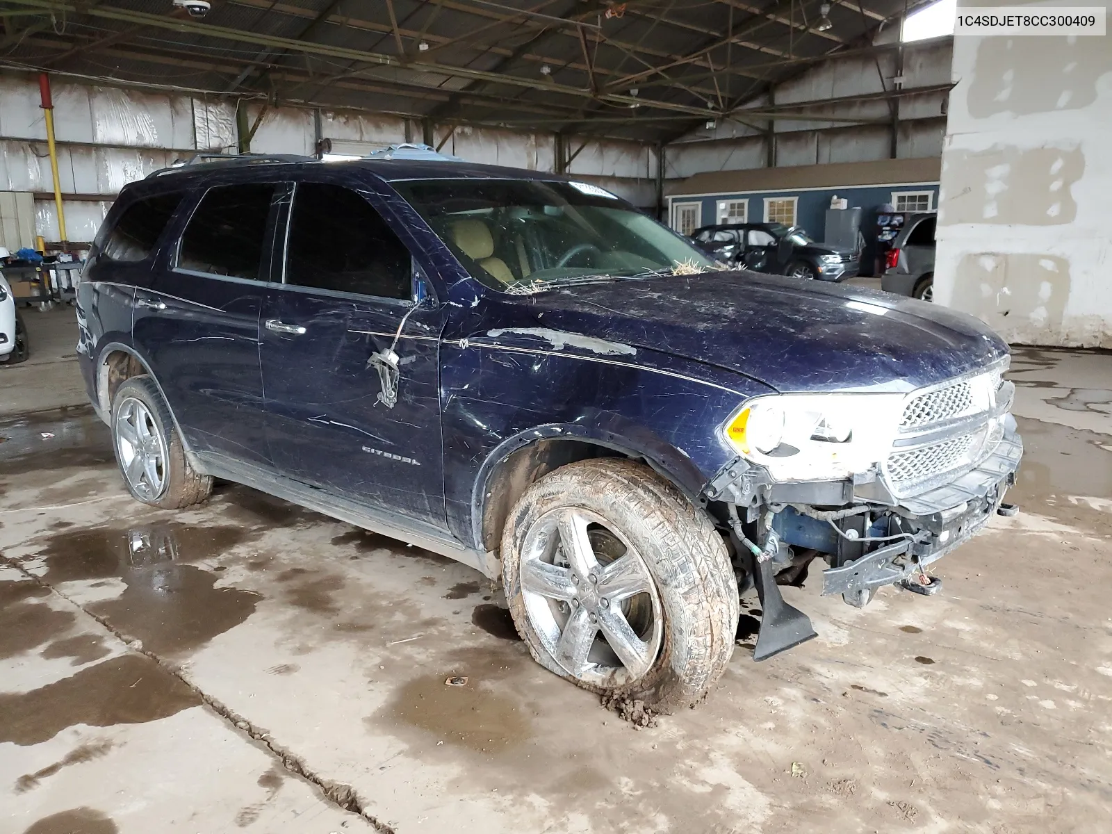 2012 Dodge Durango Citadel VIN: 1C4SDJET8CC300409 Lot: 81333623