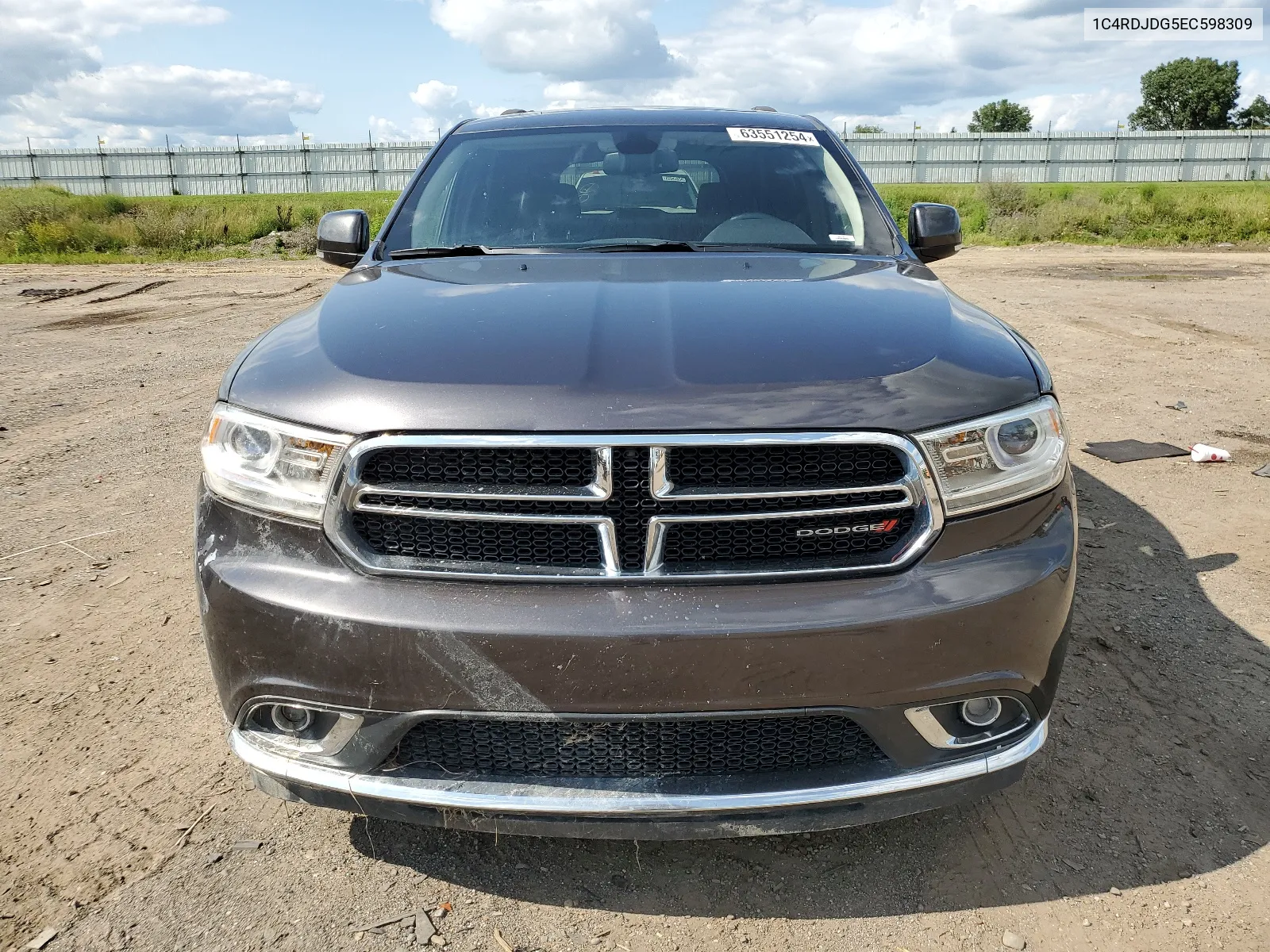 2014 Dodge Durango Limited VIN: 1C4RDJDG5EC598309 Lot: 63551254