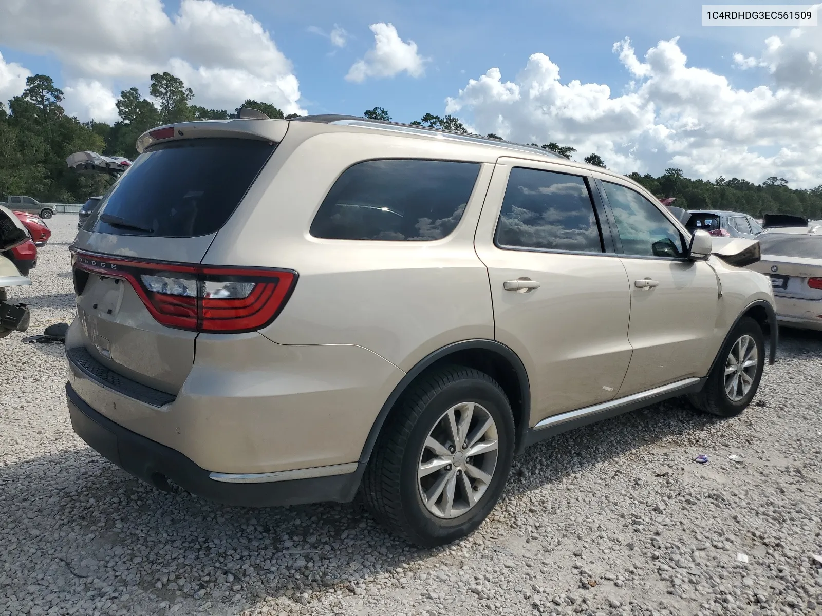 2014 Dodge Durango Limited VIN: 1C4RDHDG3EC561509 Lot: 67592974