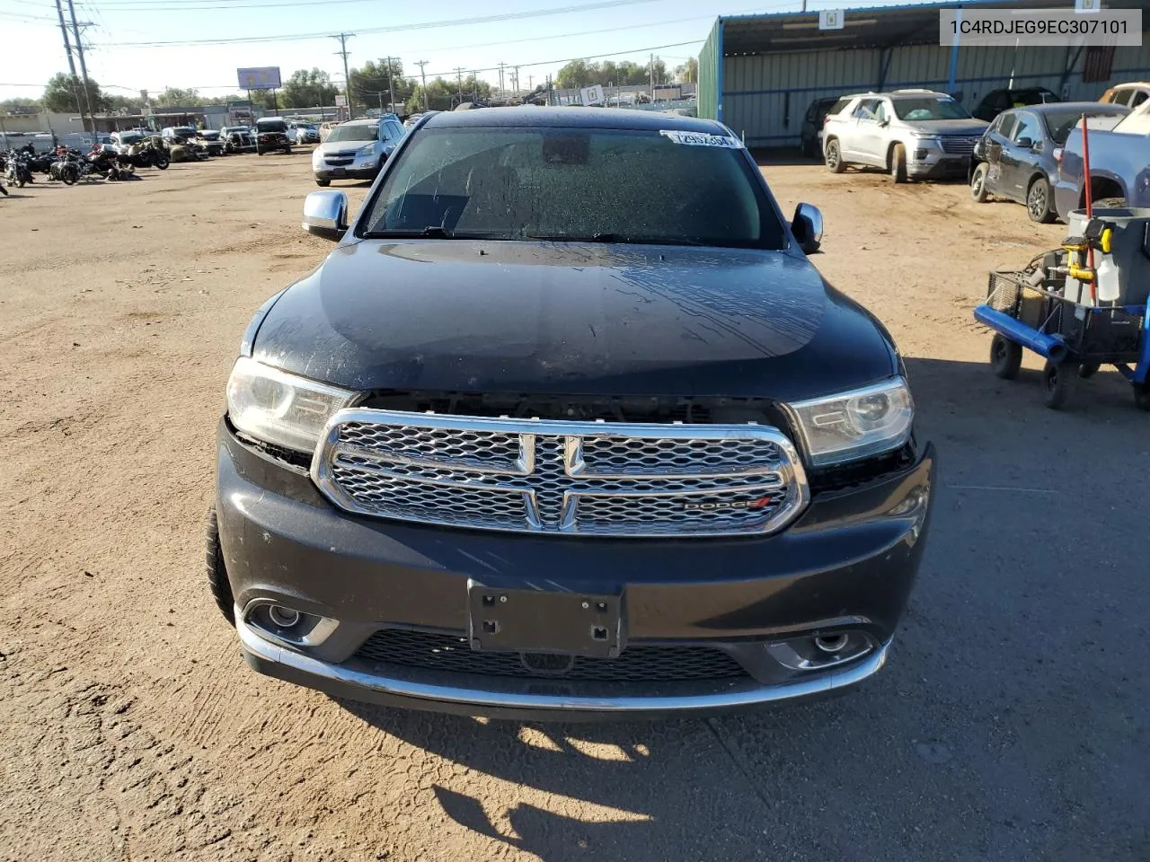 2014 Dodge Durango Citadel VIN: 1C4RDJEG9EC307101 Lot: 72952364