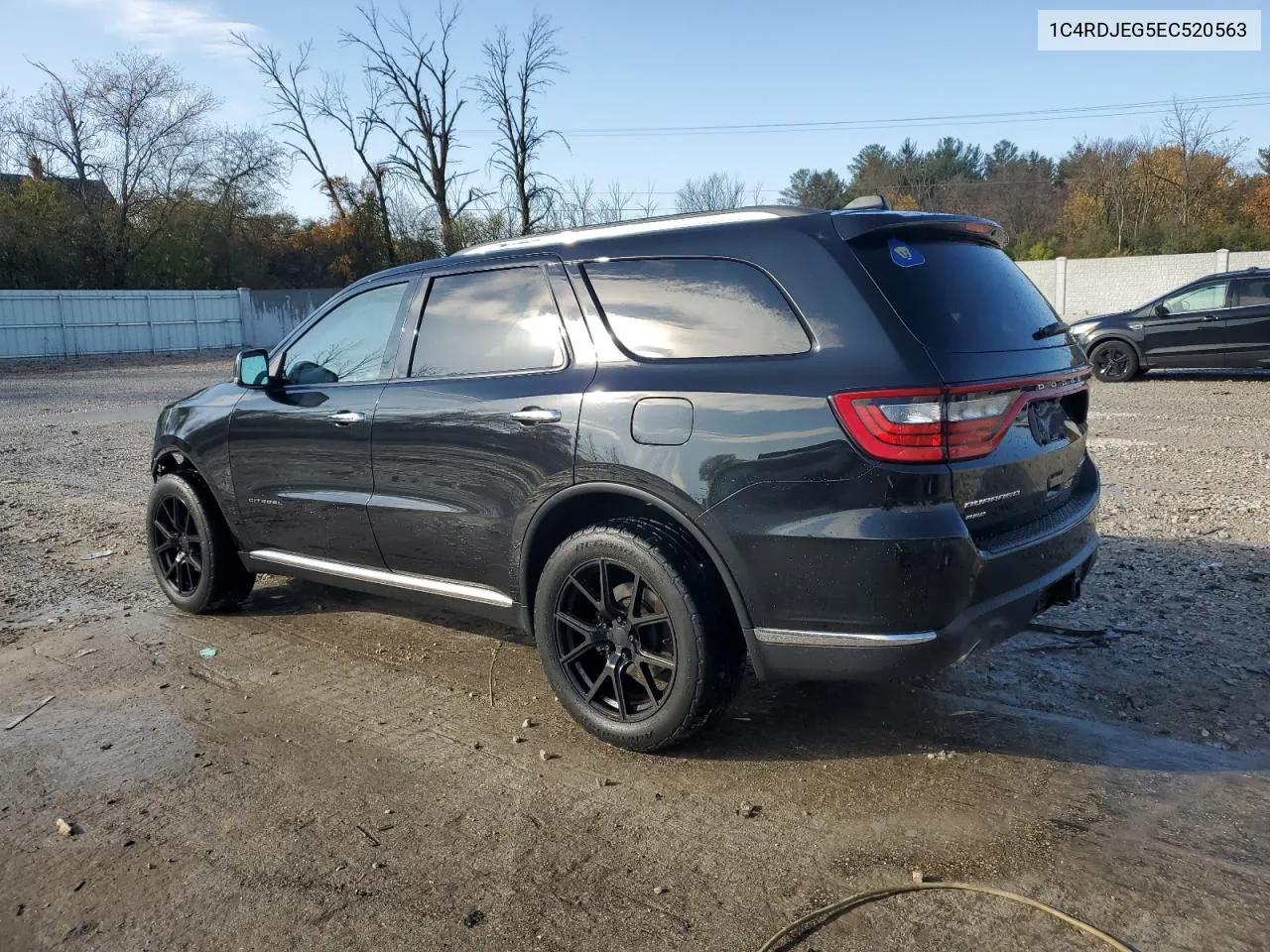 2014 Dodge Durango Citadel VIN: 1C4RDJEG5EC520563 Lot: 77788724