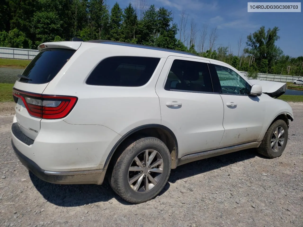 2016 Dodge Durango Limited VIN: 1C4RDJDG3GC308703 Lot: 59397534