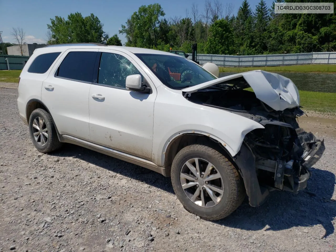 2016 Dodge Durango Limited VIN: 1C4RDJDG3GC308703 Lot: 59397534