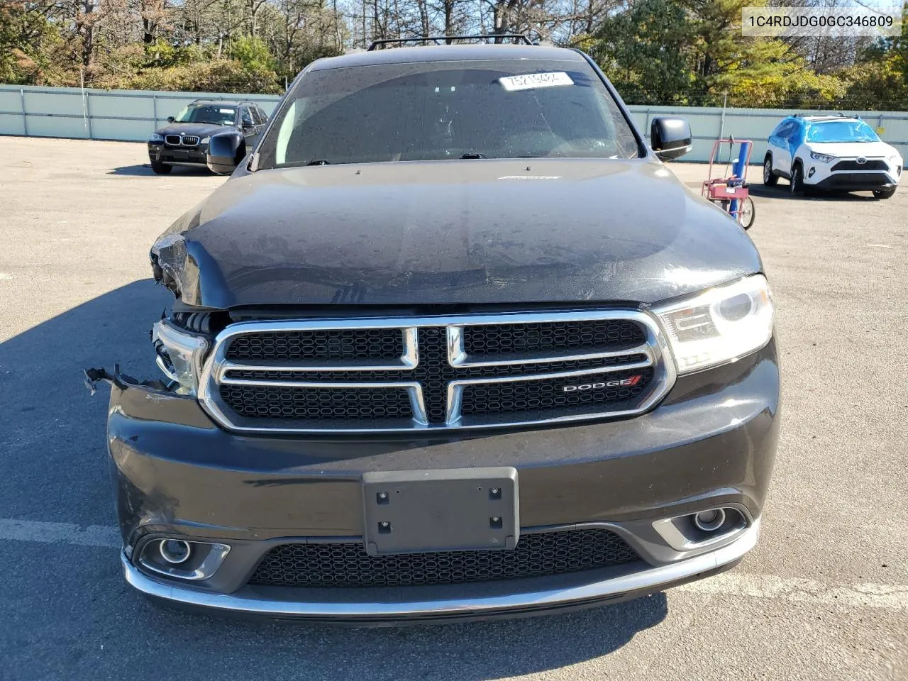 2016 Dodge Durango Limited VIN: 1C4RDJDG0GC346809 Lot: 75219484