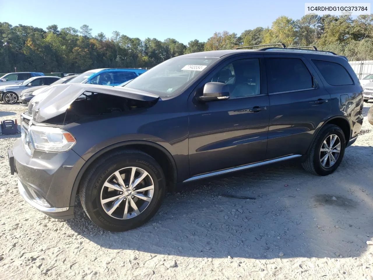 2016 Dodge Durango Limited VIN: 1C4RDHDG1GC373784 Lot: 77948554