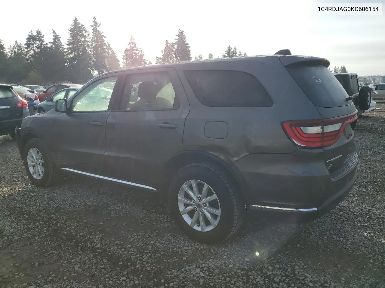 2019 Dodge Durango Sxt VIN: 1C4RDJAG0KC606154 Lot: 79743774