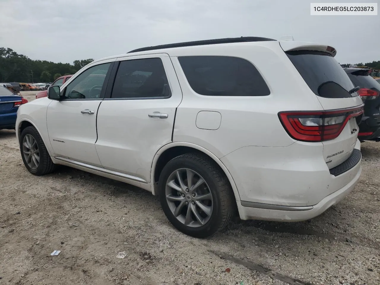 2020 Dodge Durango Citadel VIN: 1C4RDHEG5LC203873 Lot: 71393404