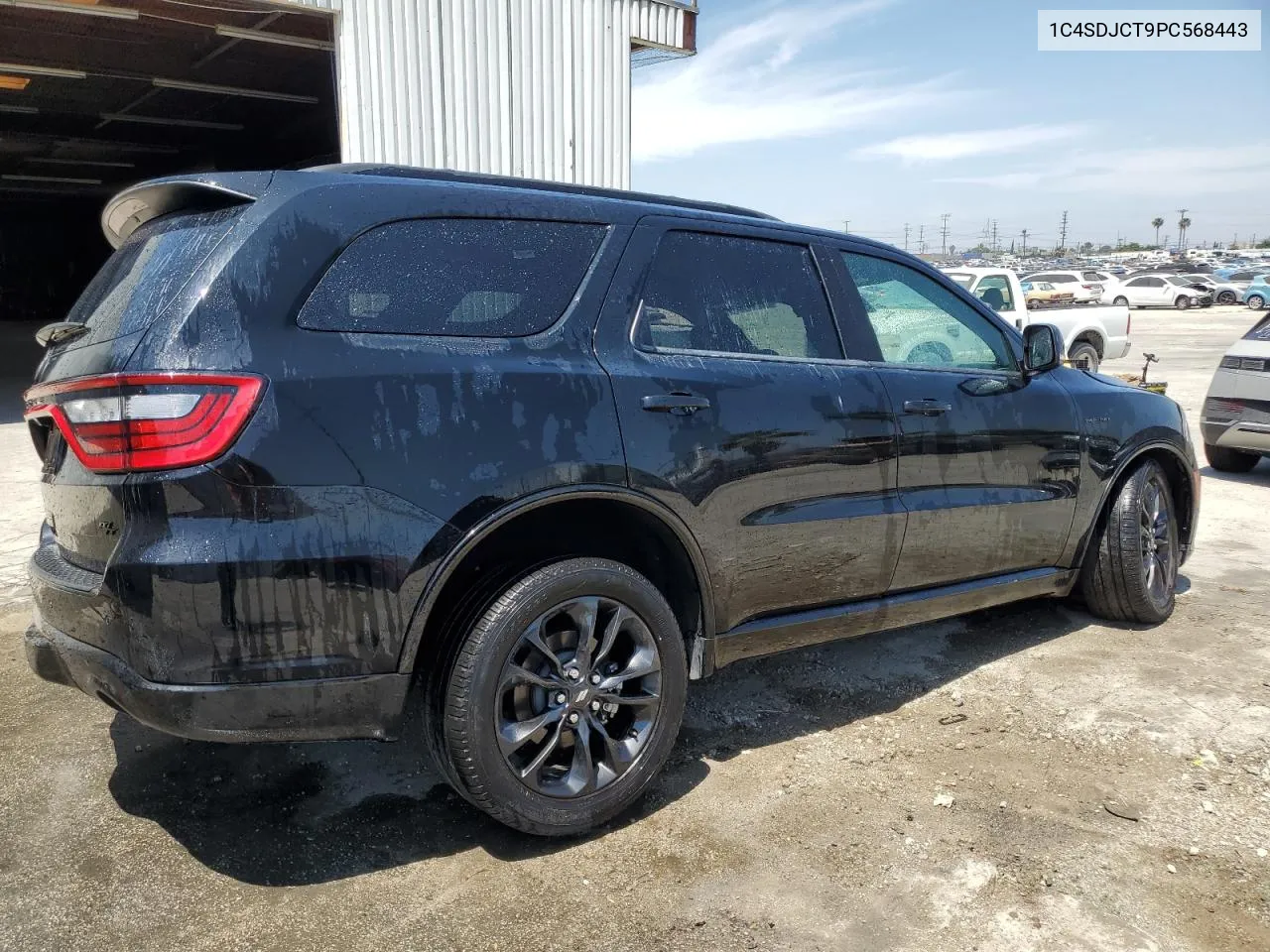 2023 Dodge Durango R/T VIN: 1C4SDJCT9PC568443 Lot: 59349724