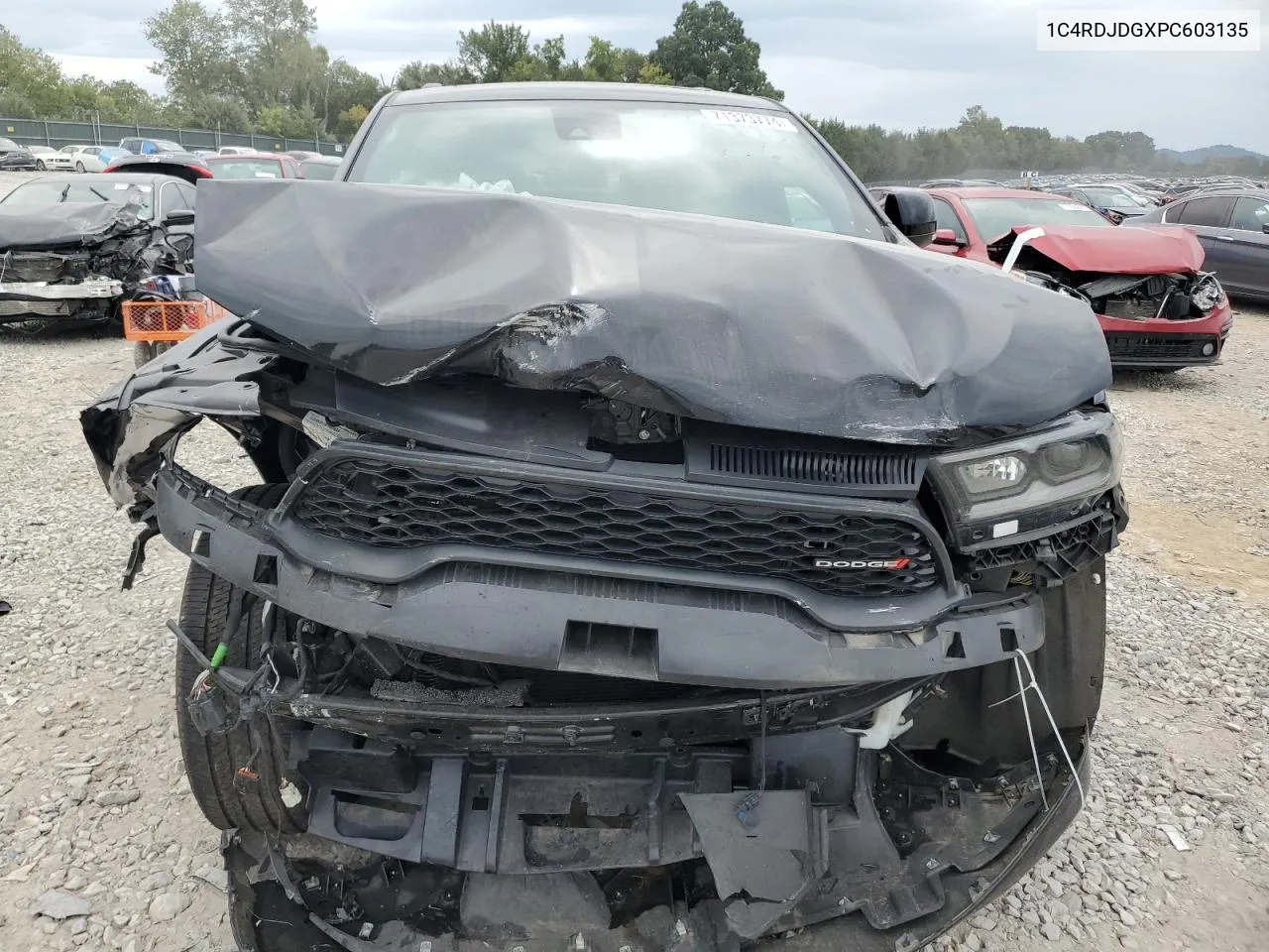 1C4RDJDGXPC603135 2023 Dodge Durango Gt