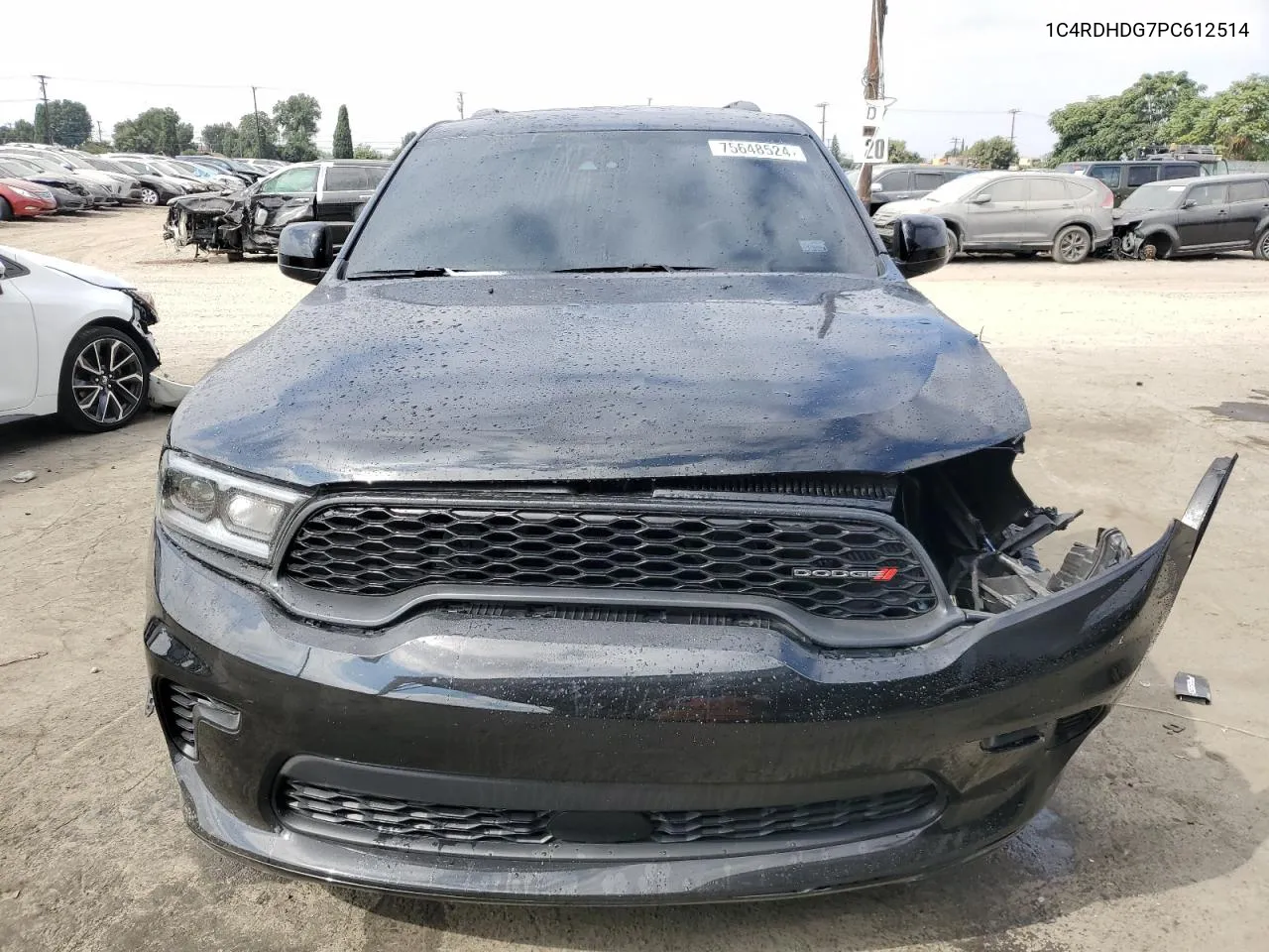 2023 Dodge Durango Gt VIN: 1C4RDHDG7PC612514 Lot: 75648524