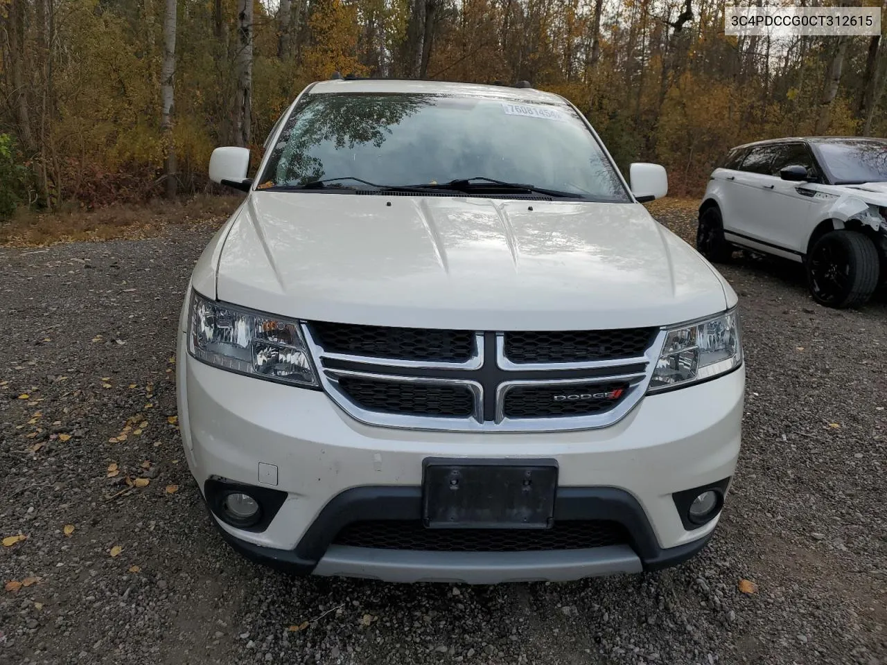 2012 Dodge Journey Sxt VIN: 3C4PDCCG0CT312615 Lot: 76081454