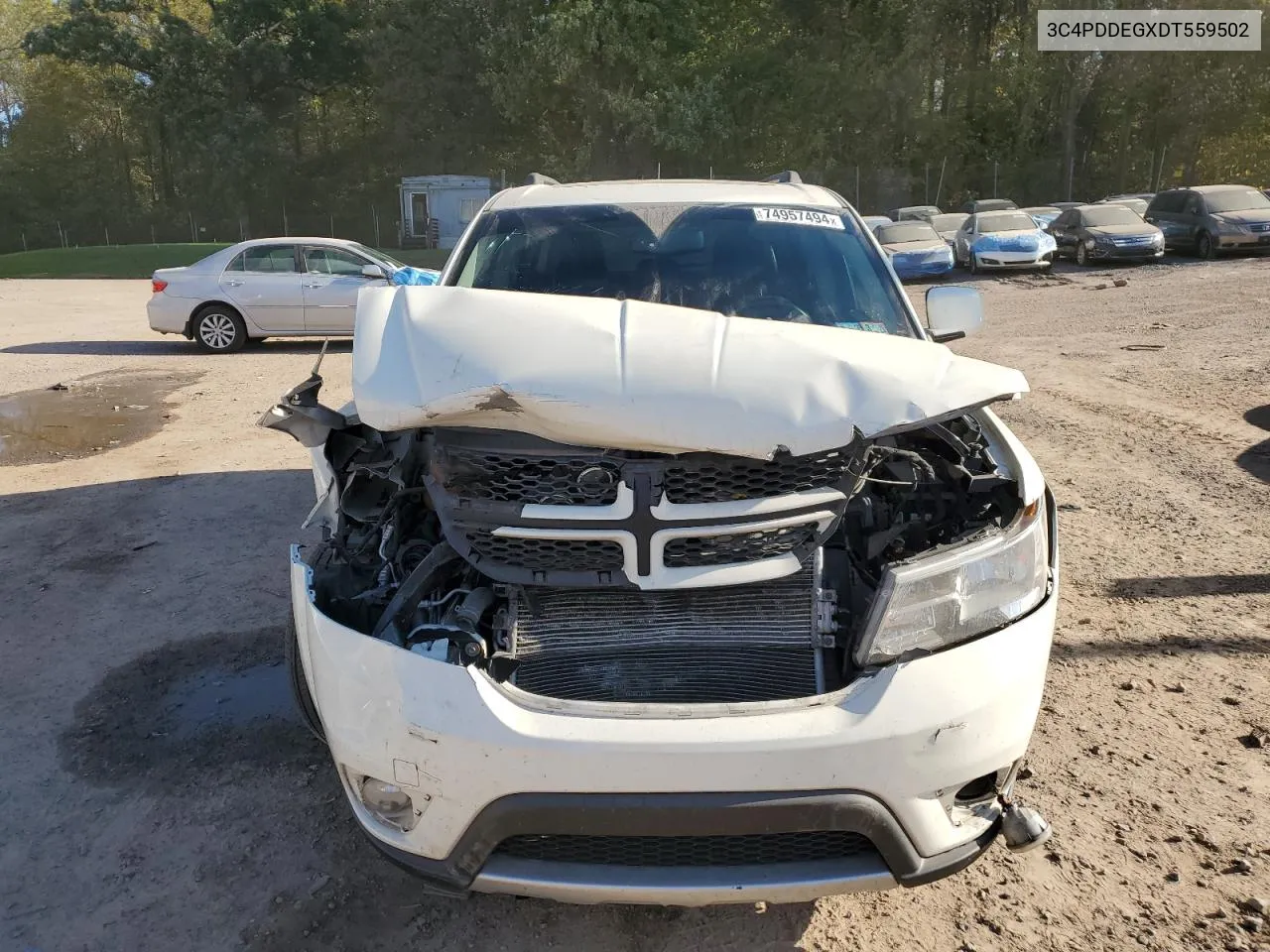 2013 Dodge Journey R/T VIN: 3C4PDDEGXDT559502 Lot: 74957494