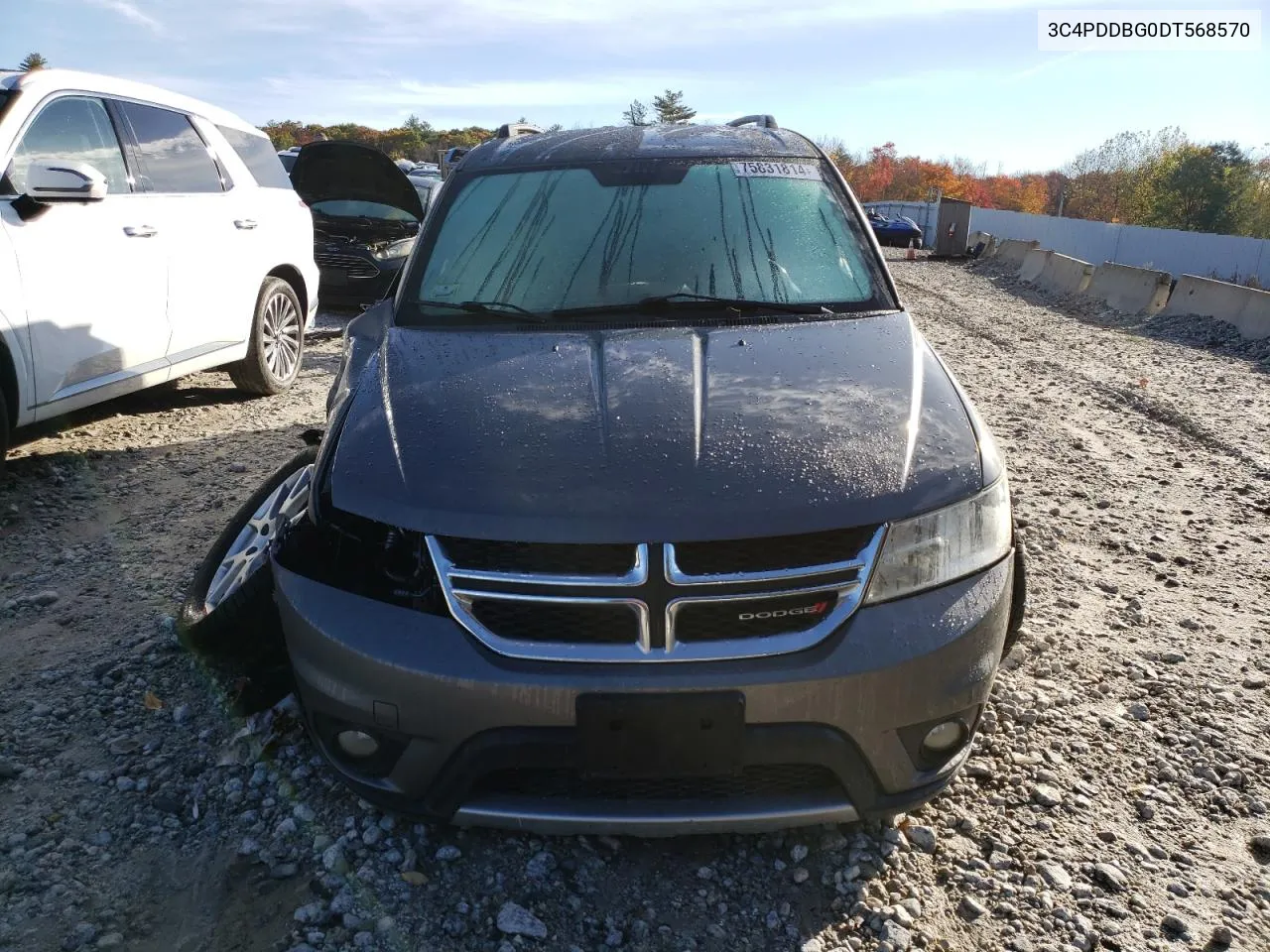 2013 Dodge Journey Sxt VIN: 3C4PDDBG0DT568570 Lot: 75831814