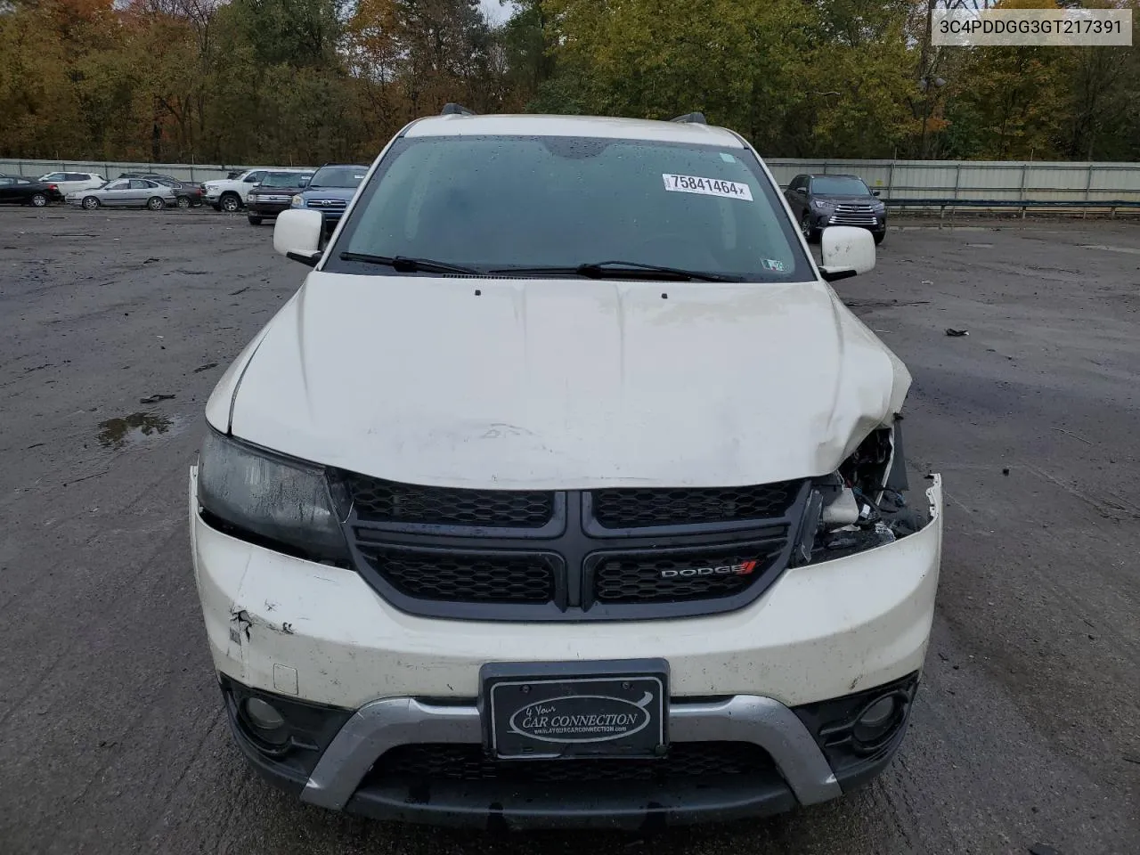 2016 Dodge Journey Crossroad VIN: 3C4PDDGG3GT217391 Lot: 75841464