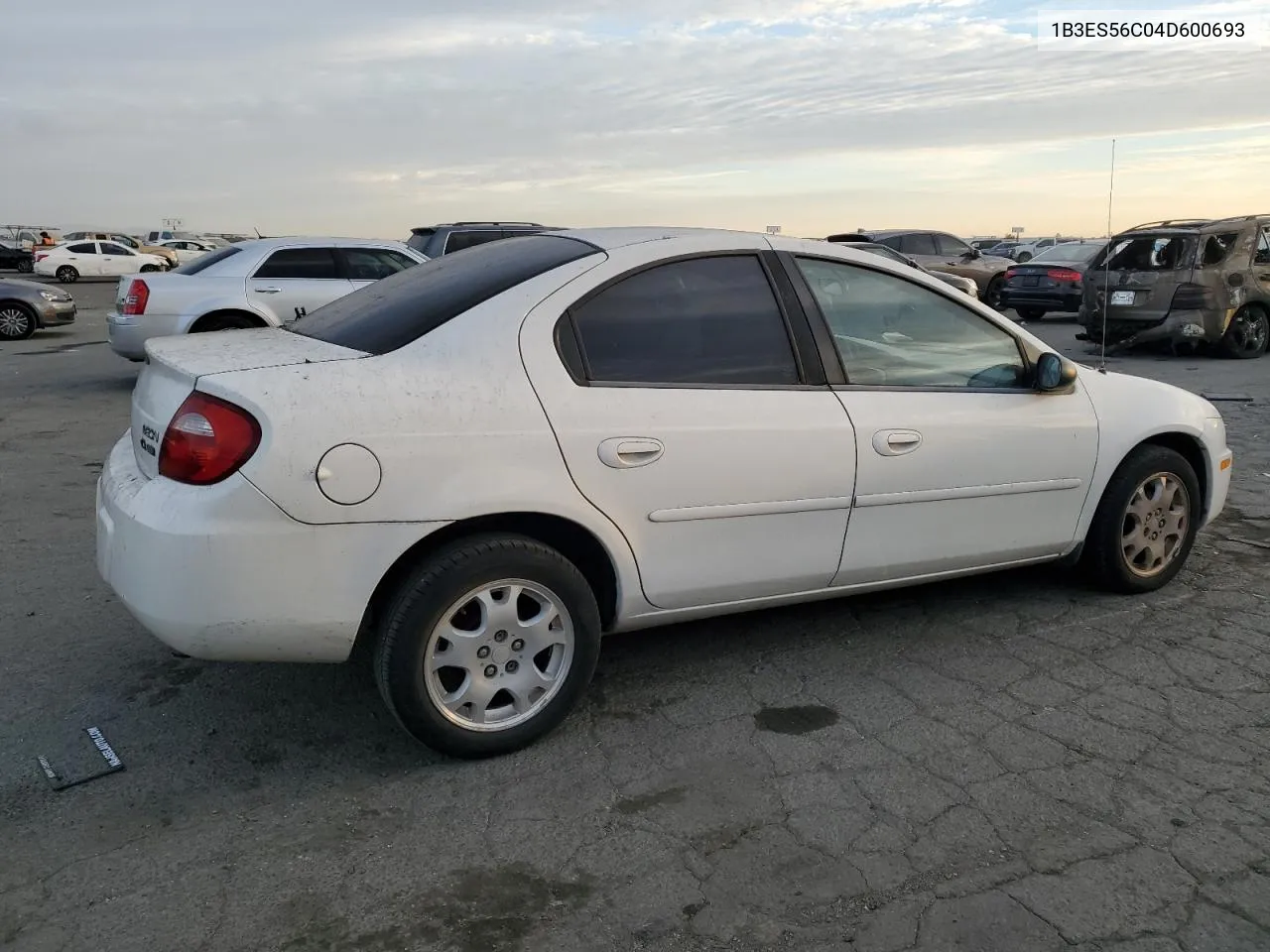 2004 Dodge Neon Sxt VIN: 1B3ES56C04D600693 Lot: 77653394