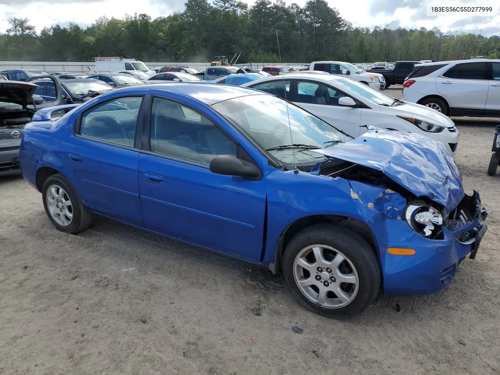 2005 Dodge Neon Sxt VIN: 1B3ES56C55D277999 Lot: 55328454