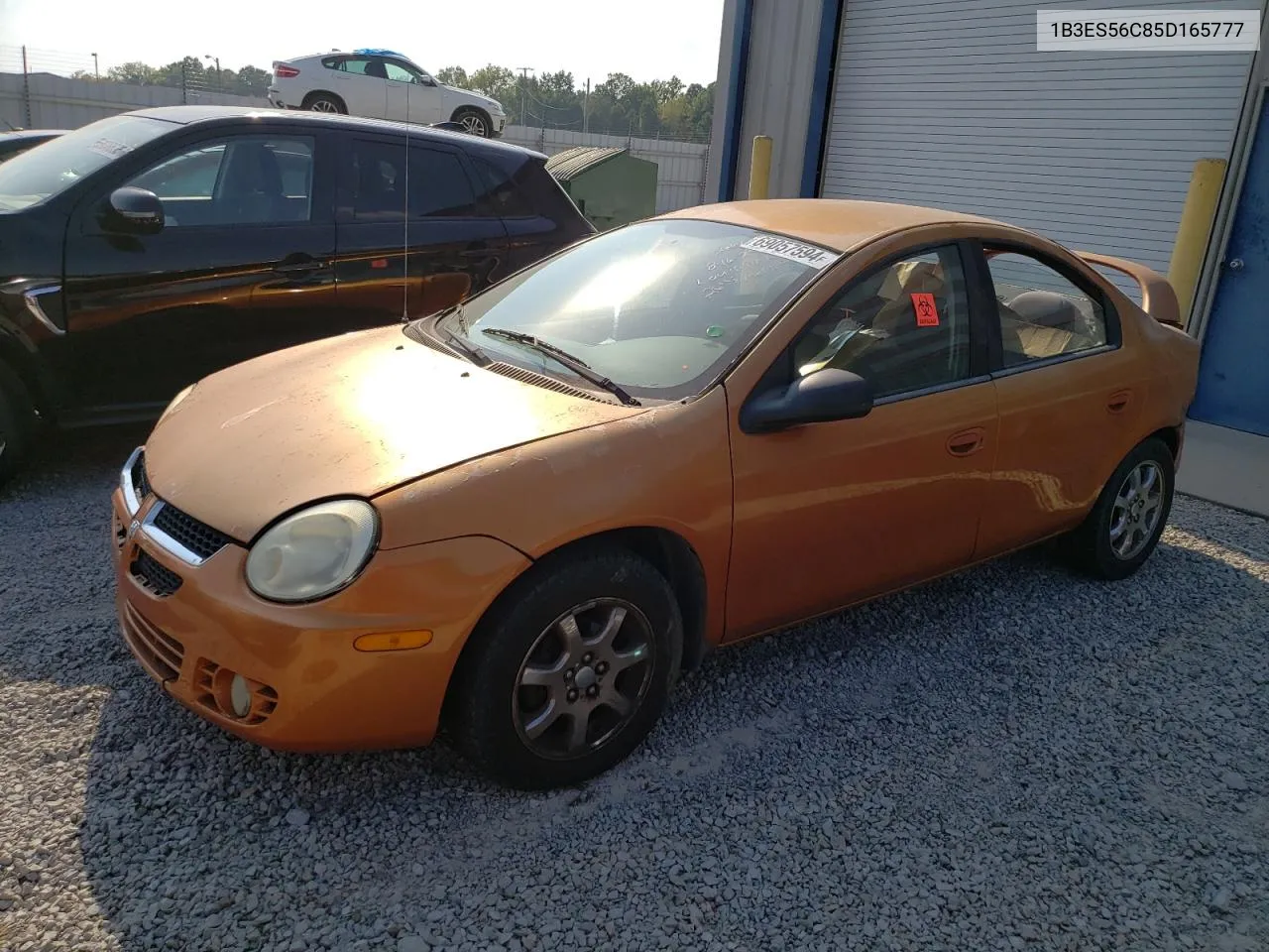 2005 Dodge Neon Sxt VIN: 1B3ES56C85D165777 Lot: 69057594