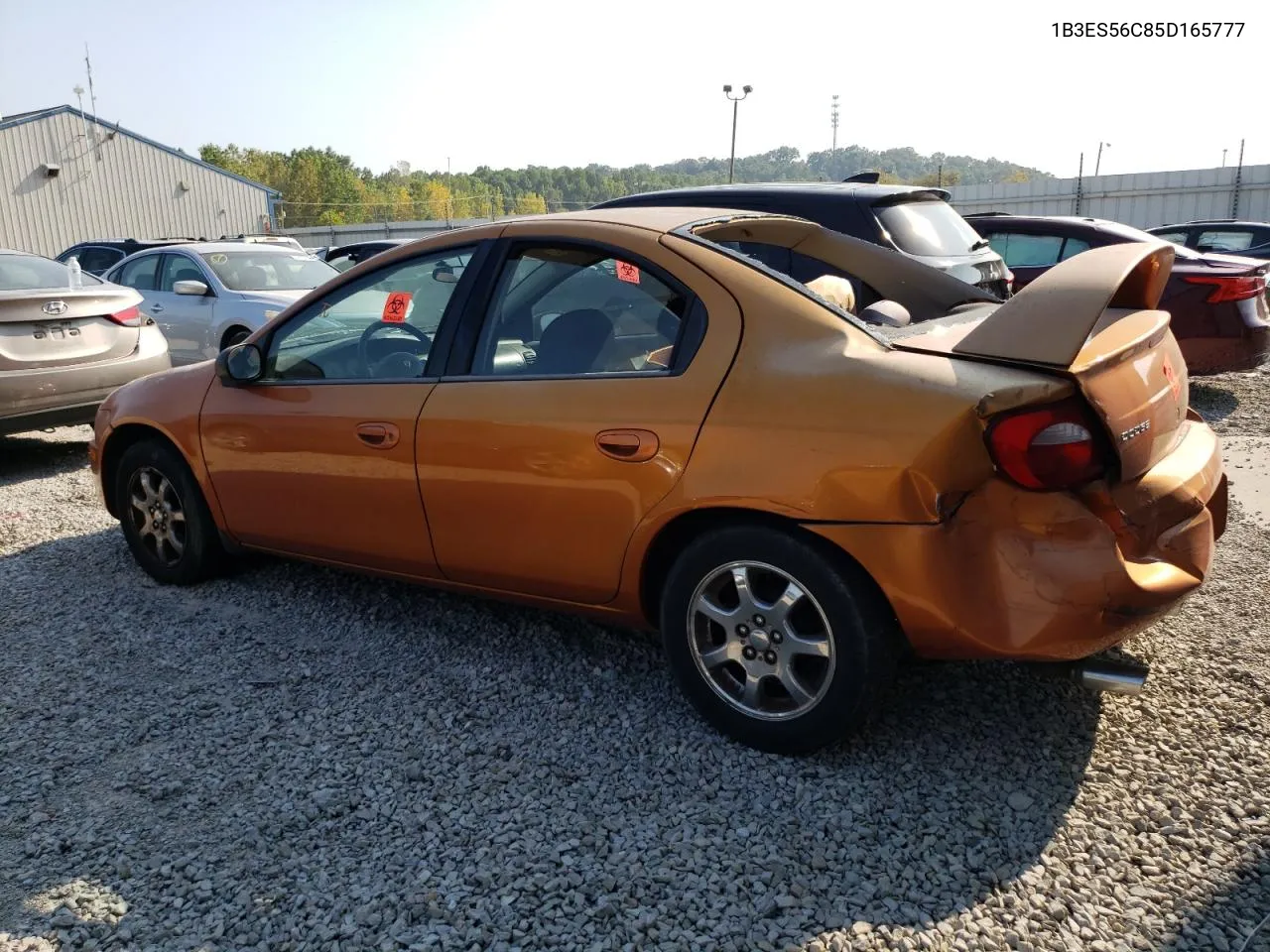 2005 Dodge Neon Sxt VIN: 1B3ES56C85D165777 Lot: 69057594