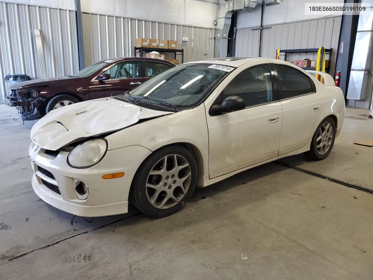 2005 Dodge Neon Srt-4 VIN: 1B3ES66S05D195109 Lot: 70531014