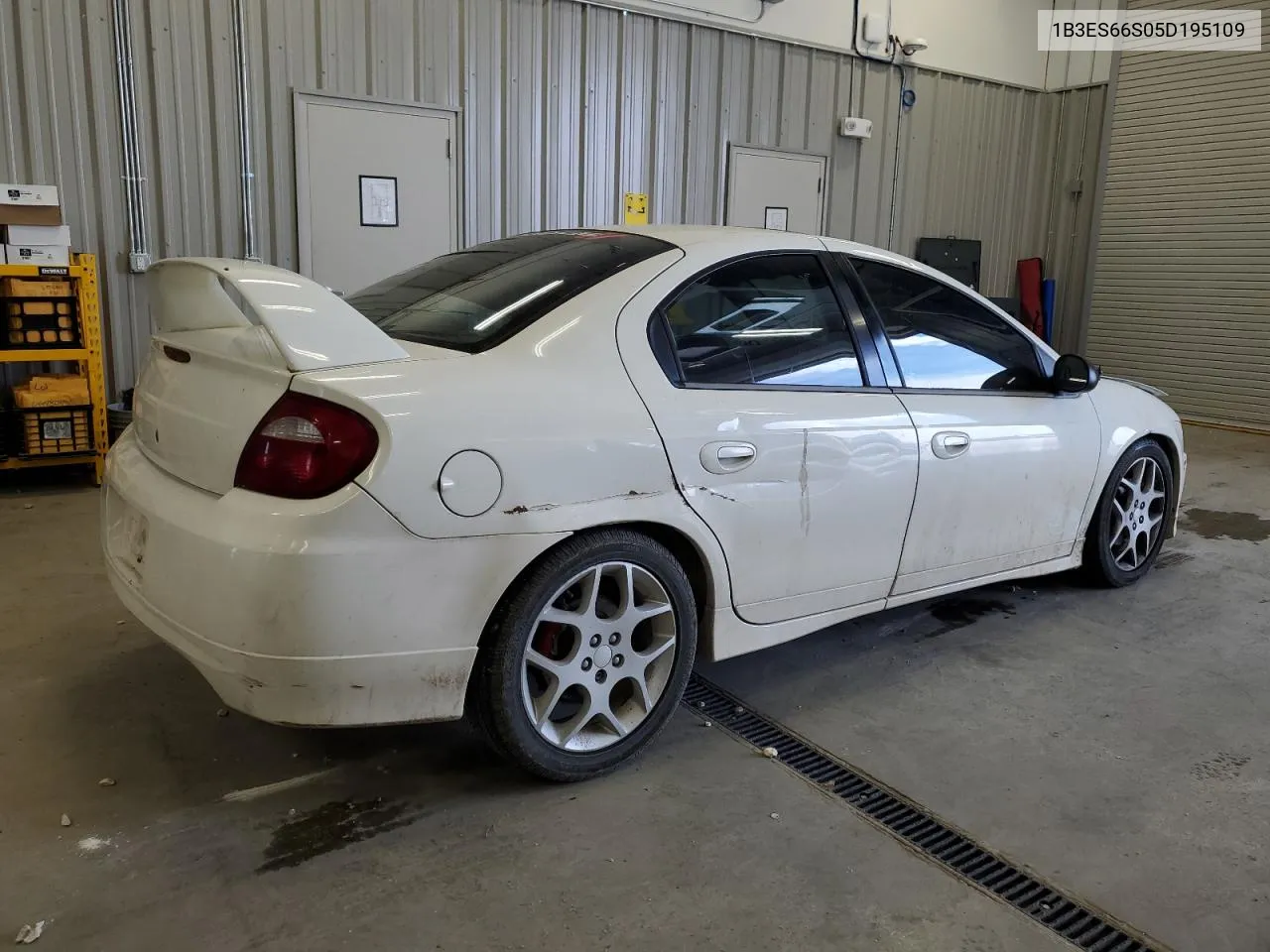 2005 Dodge Neon Srt-4 VIN: 1B3ES66S05D195109 Lot: 70531014