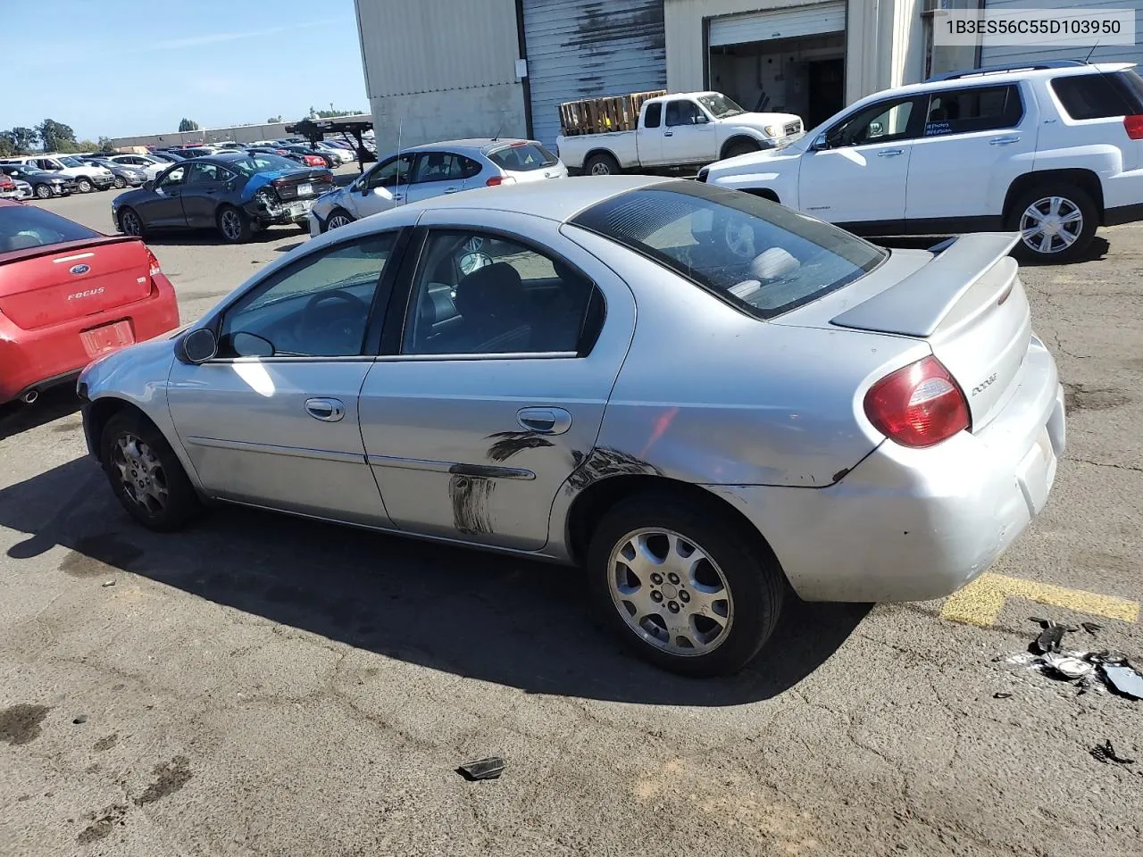 2005 Dodge Neon Sxt VIN: 1B3ES56C55D103950 Lot: 73688274