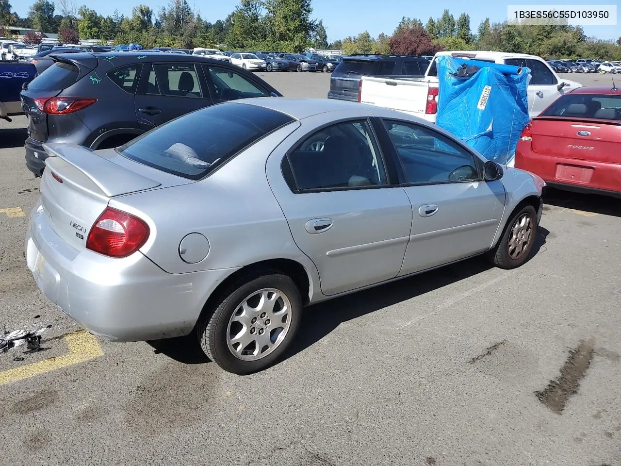 2005 Dodge Neon Sxt VIN: 1B3ES56C55D103950 Lot: 73688274