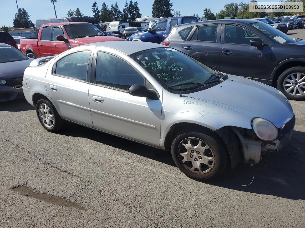 2005 Dodge Neon Sxt VIN: 1B3ES56C55D103950 Lot: 73688274