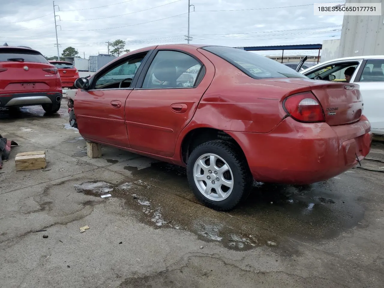 2005 Dodge Neon Sxt VIN: 1B3ES56C65D177751 Lot: 74116174