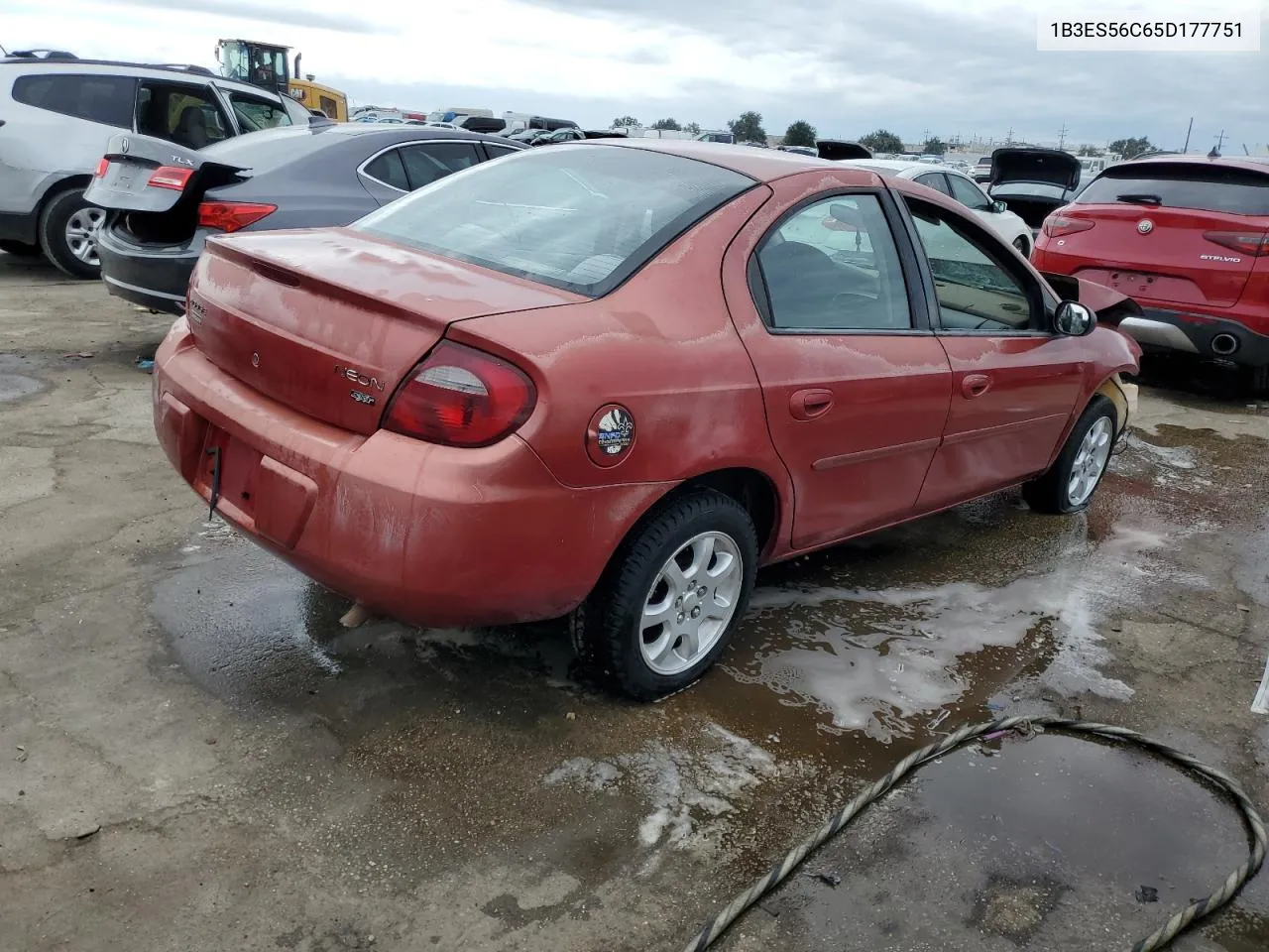 2005 Dodge Neon Sxt VIN: 1B3ES56C65D177751 Lot: 74116174